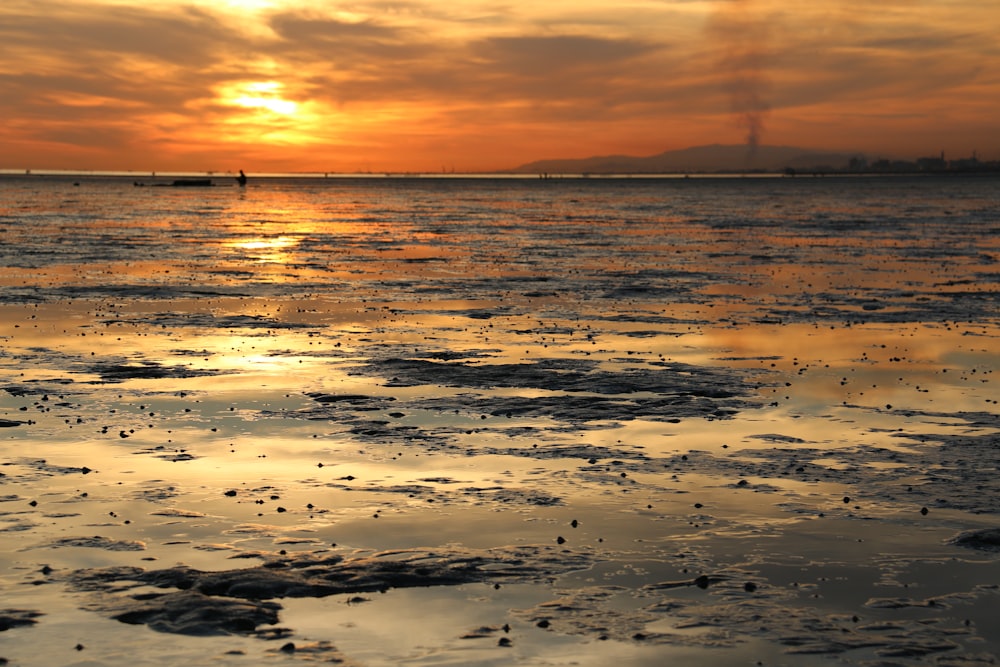 silhueta das pessoas na praia durante o pôr do sol