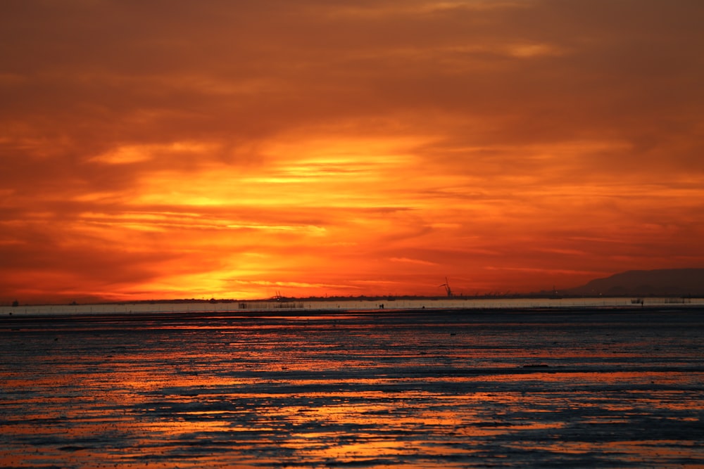 silhouette of people on beach during sunset