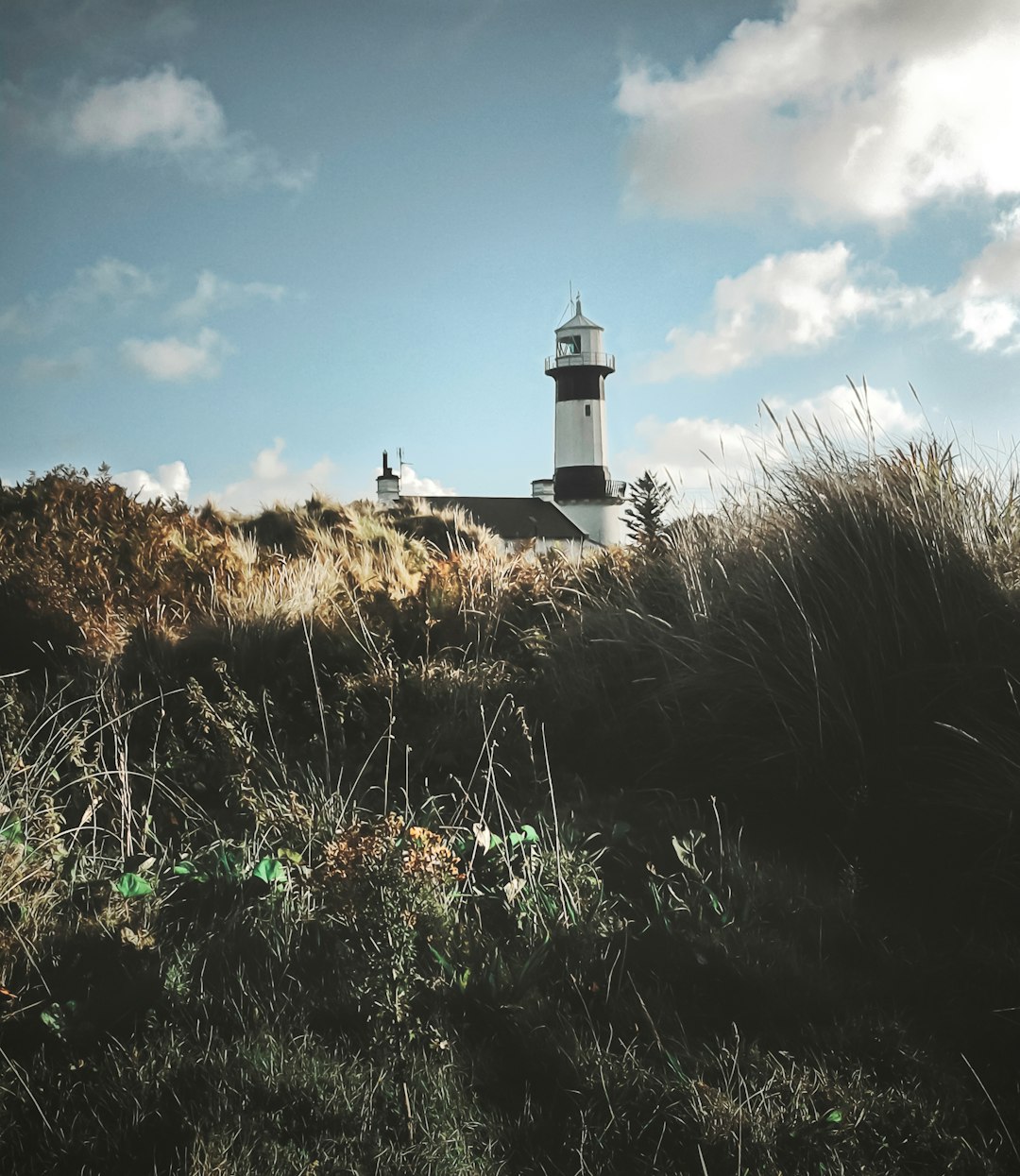 white lighthouse on brown grass field under blue sky during daytime