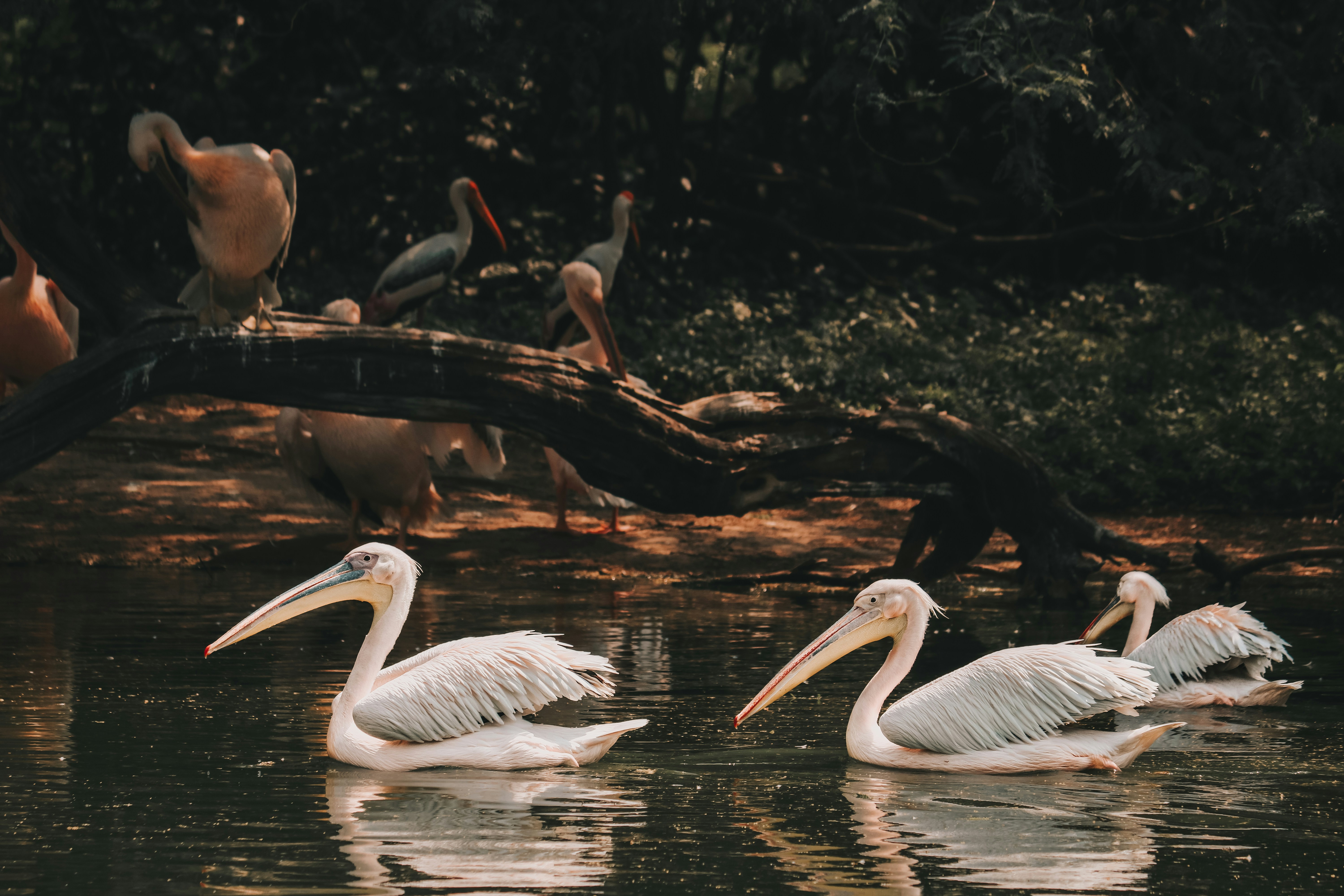 Photo by saurabh_photography