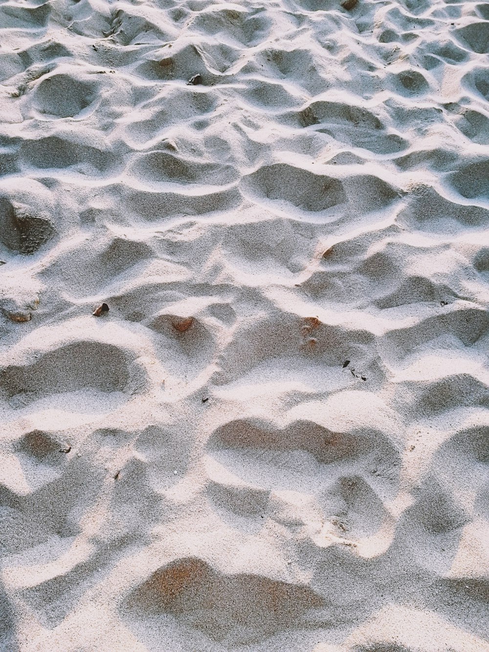 gray and white wet sand