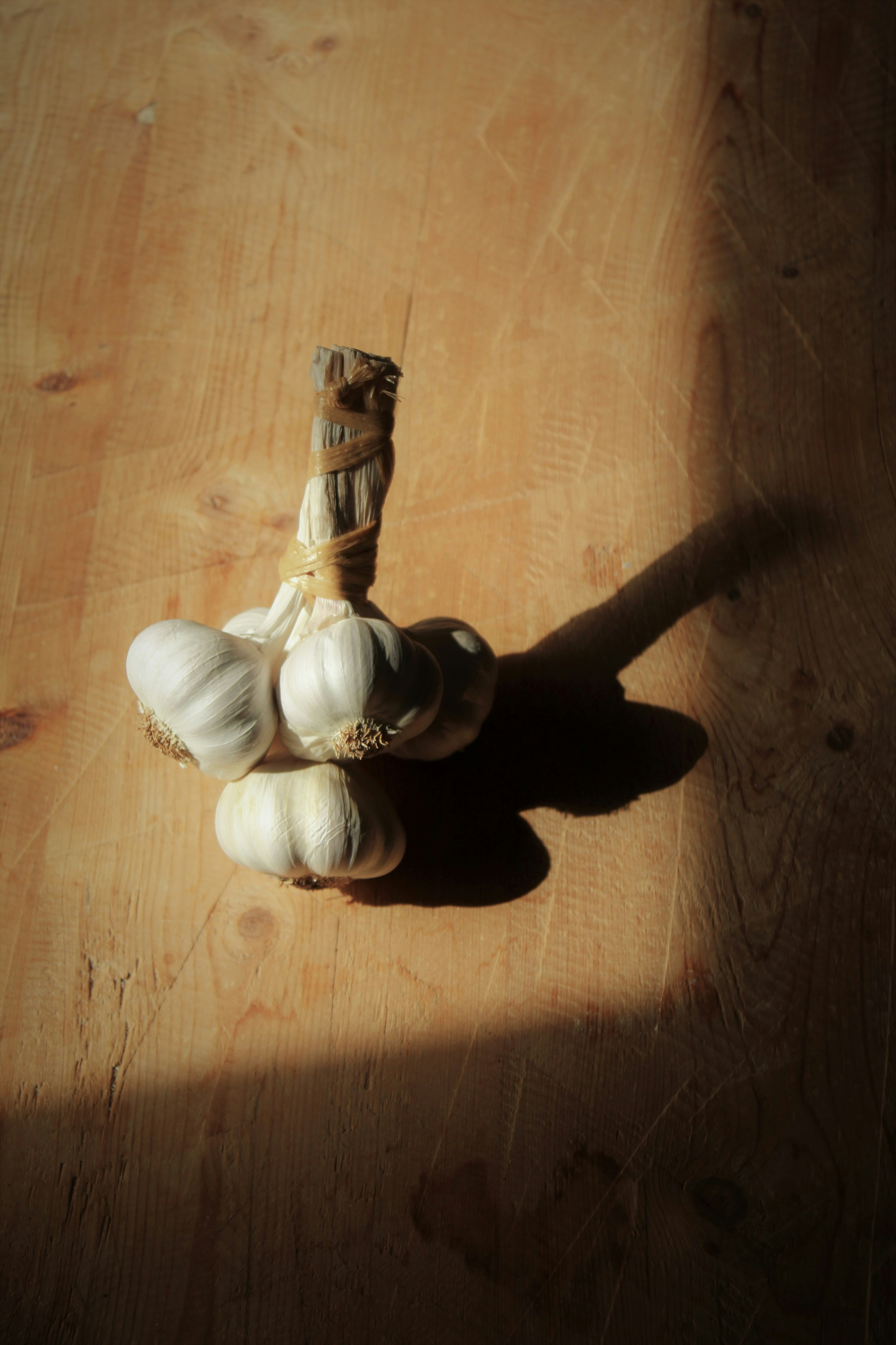 Discovering the Aromas of Herbs and Spices