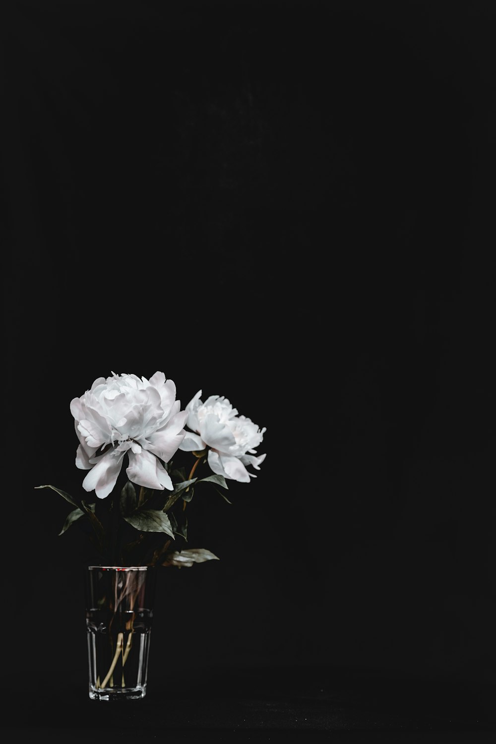 white flower in brown glass vase