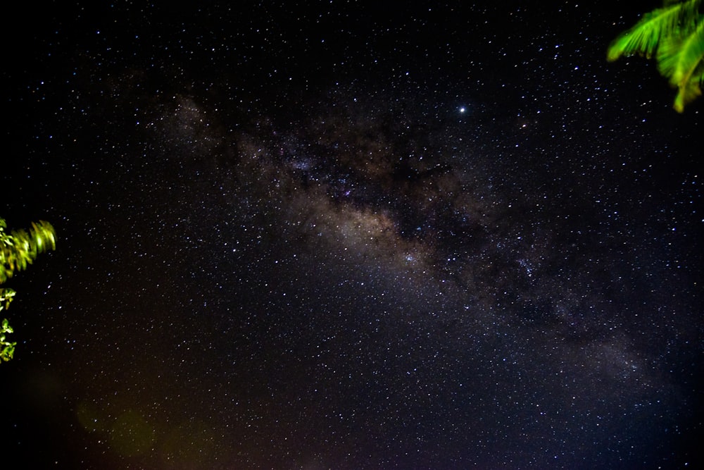 starry night sky over the starry night