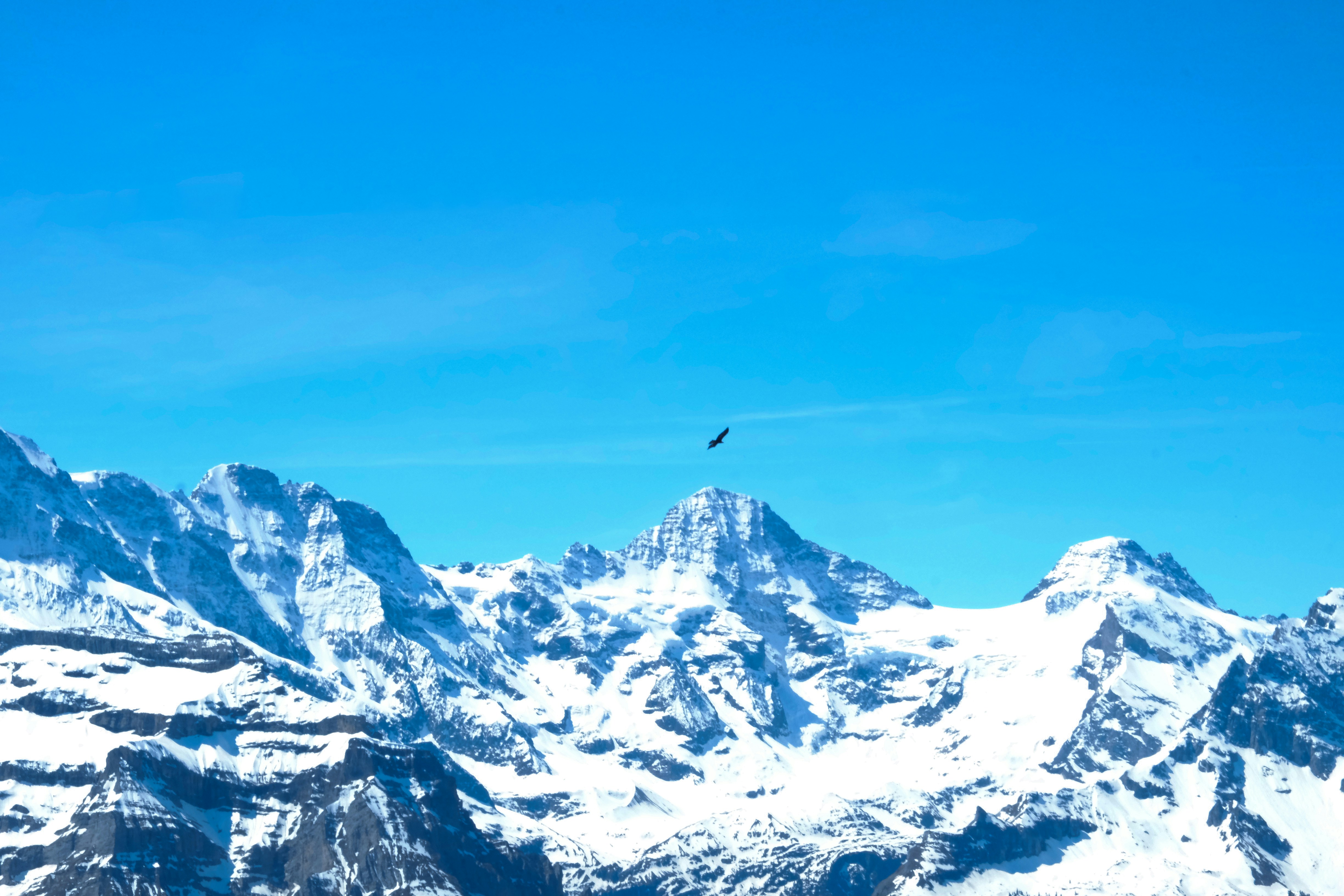 Photo by moonstone_designs