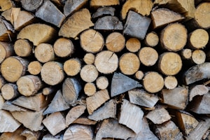 Hochwertiges Brennholz