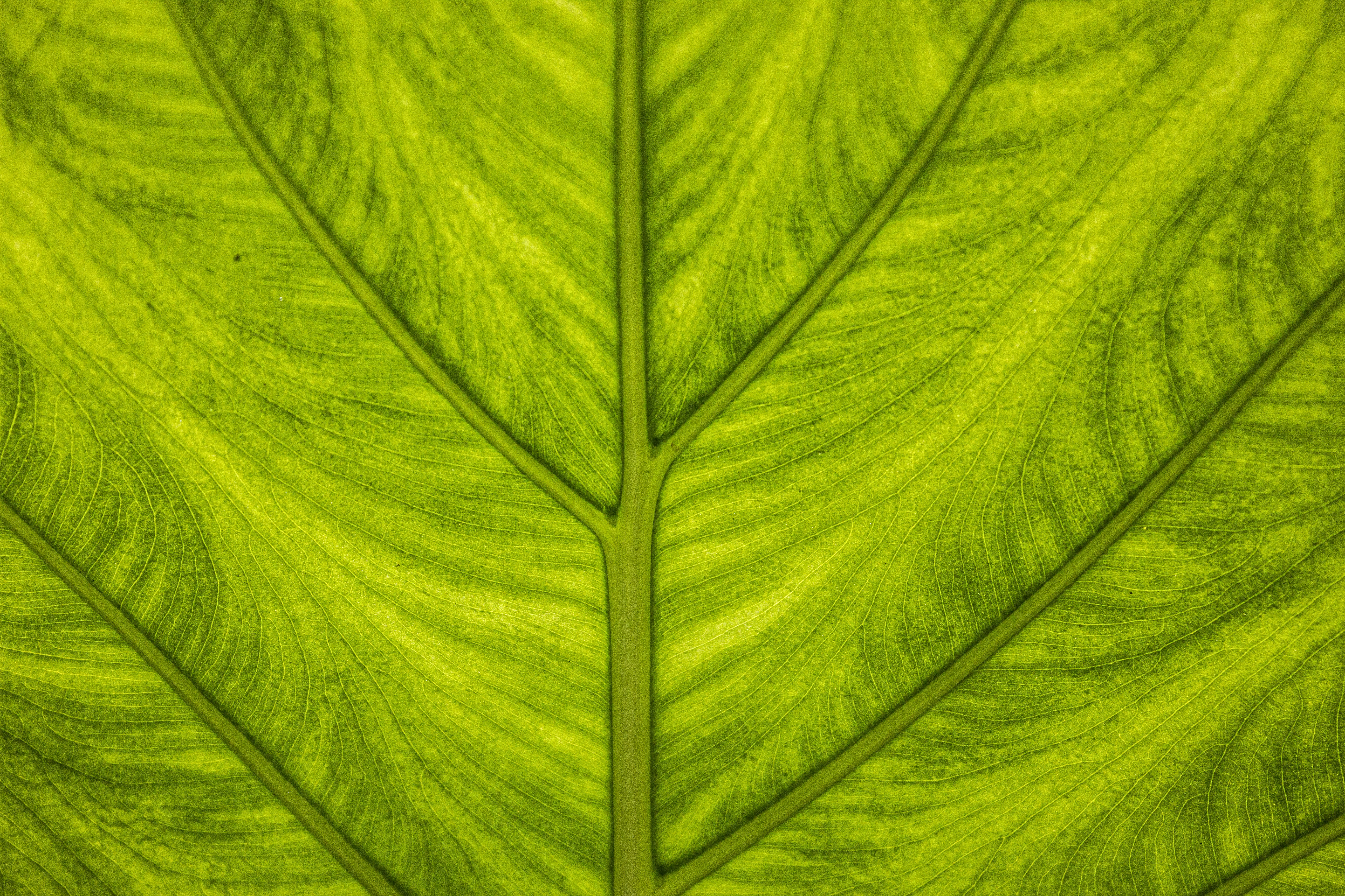 Photo by moonstone_designs