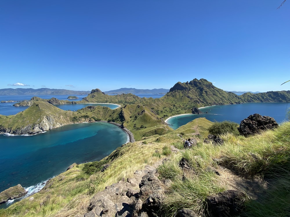 campo di erba verde vicino al mare blu sotto il cielo blu durante il giorno