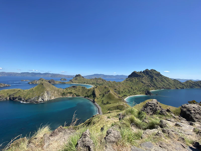 Best Hidden Speakeasies in Labuan Bajo You Need a Tip to Find