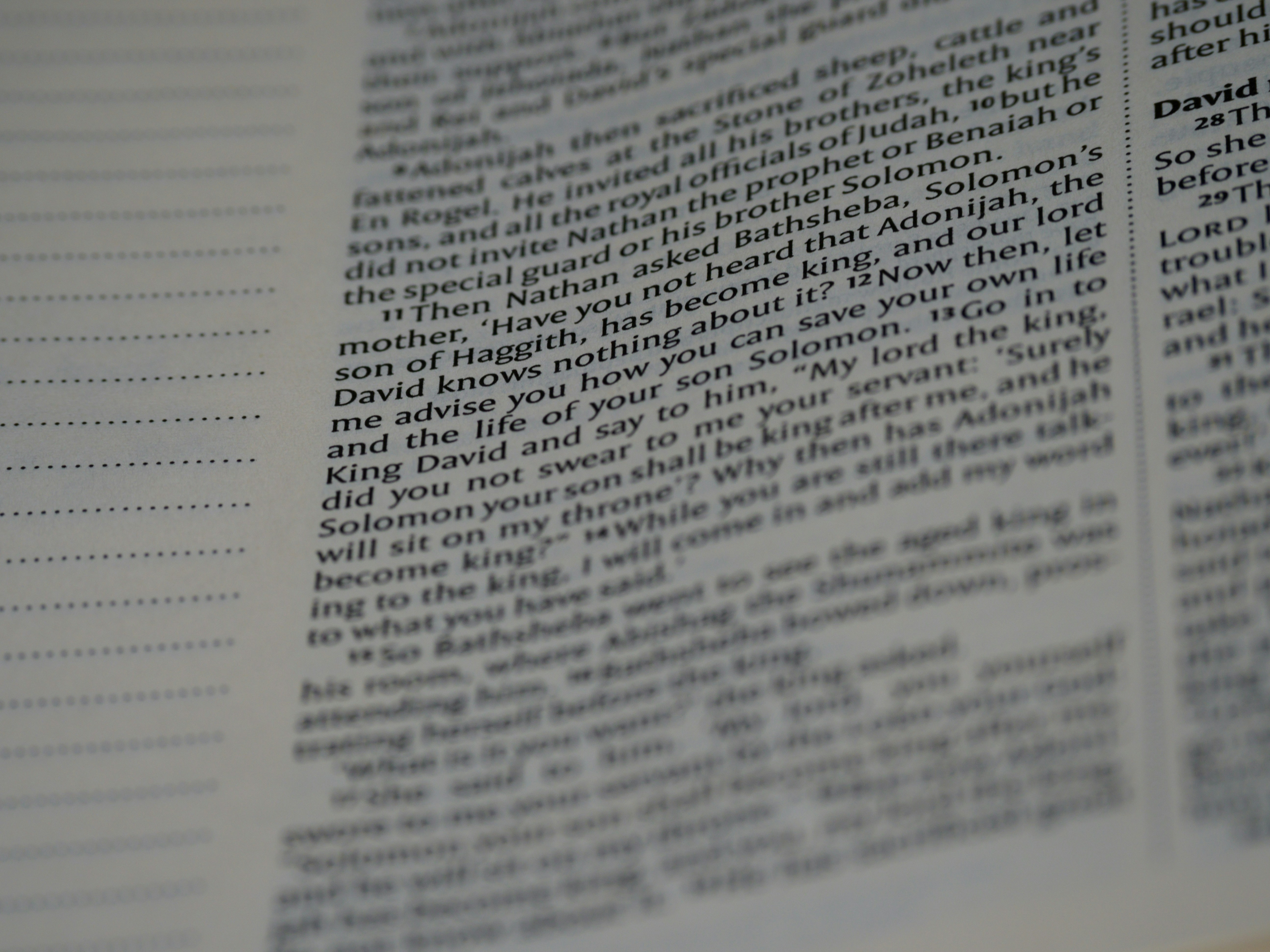 Photo by brett_jordan