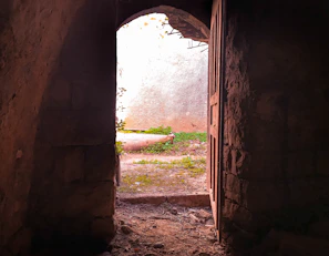 Rustic wooden door opening to a sun-dappled courtyard.