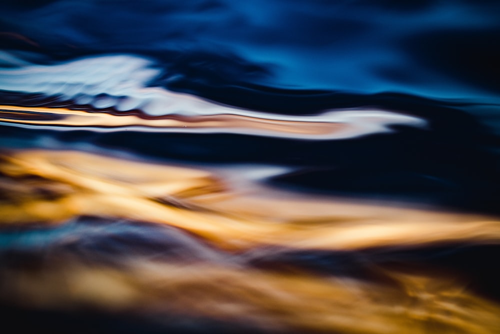 white and black feather in water