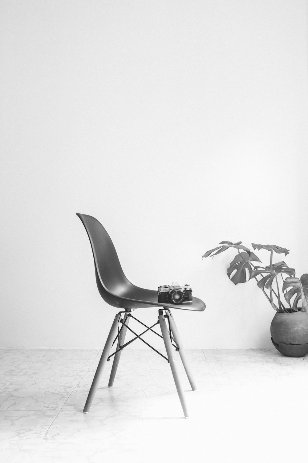 Fauteuil en cuir noir à côté de la plante en pot