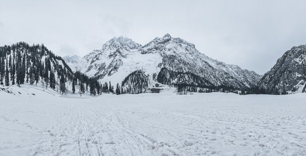 snow covered mountain during daytime