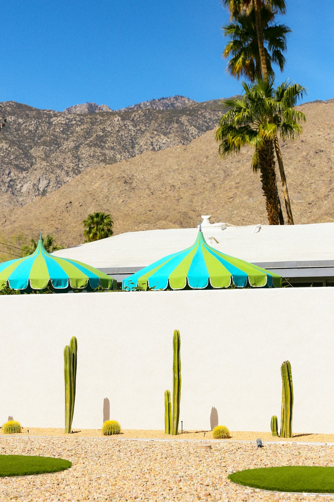 green palm trees near white and blue beach umbrellas during daytime