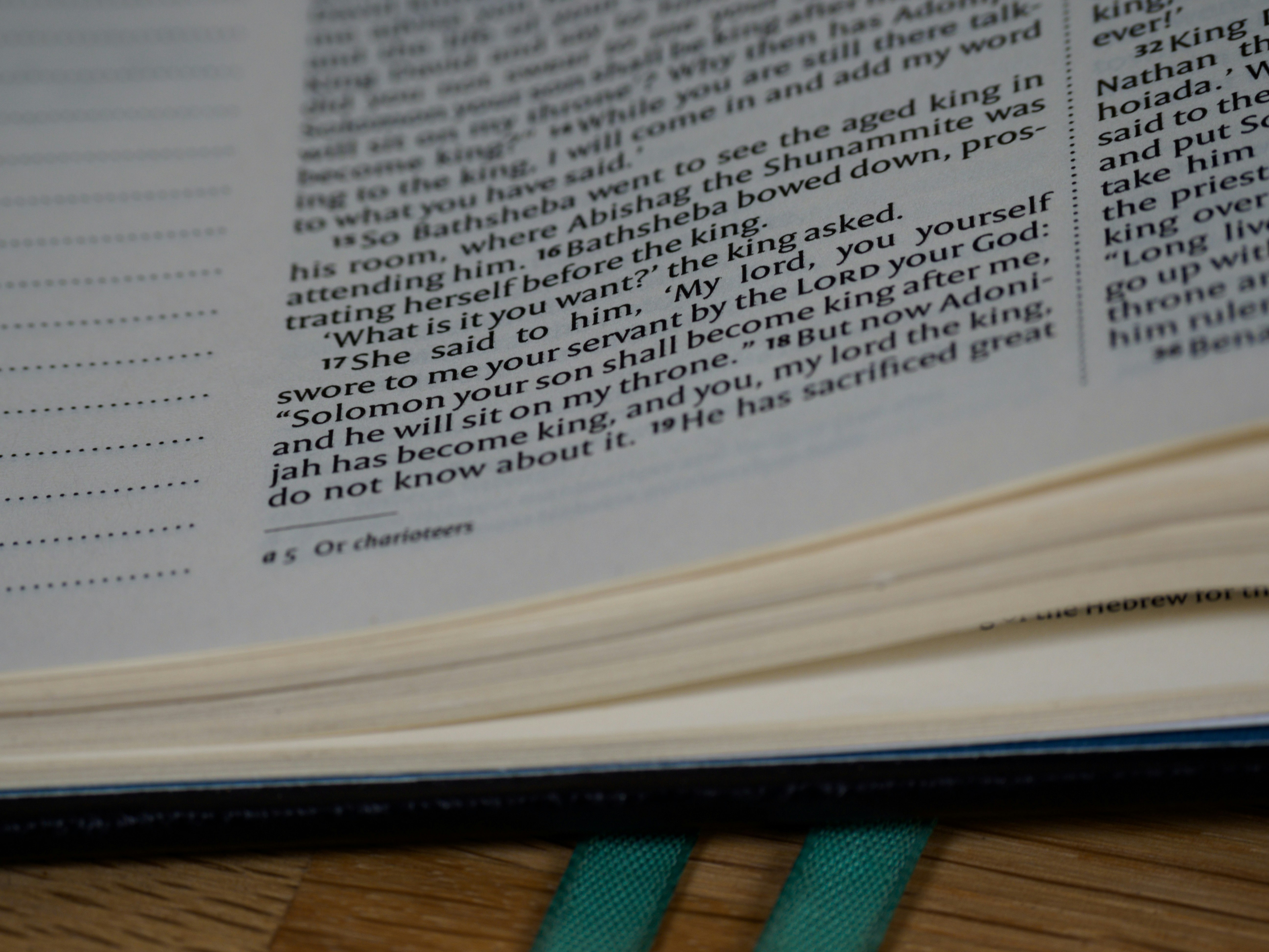 Photo by brett_jordan