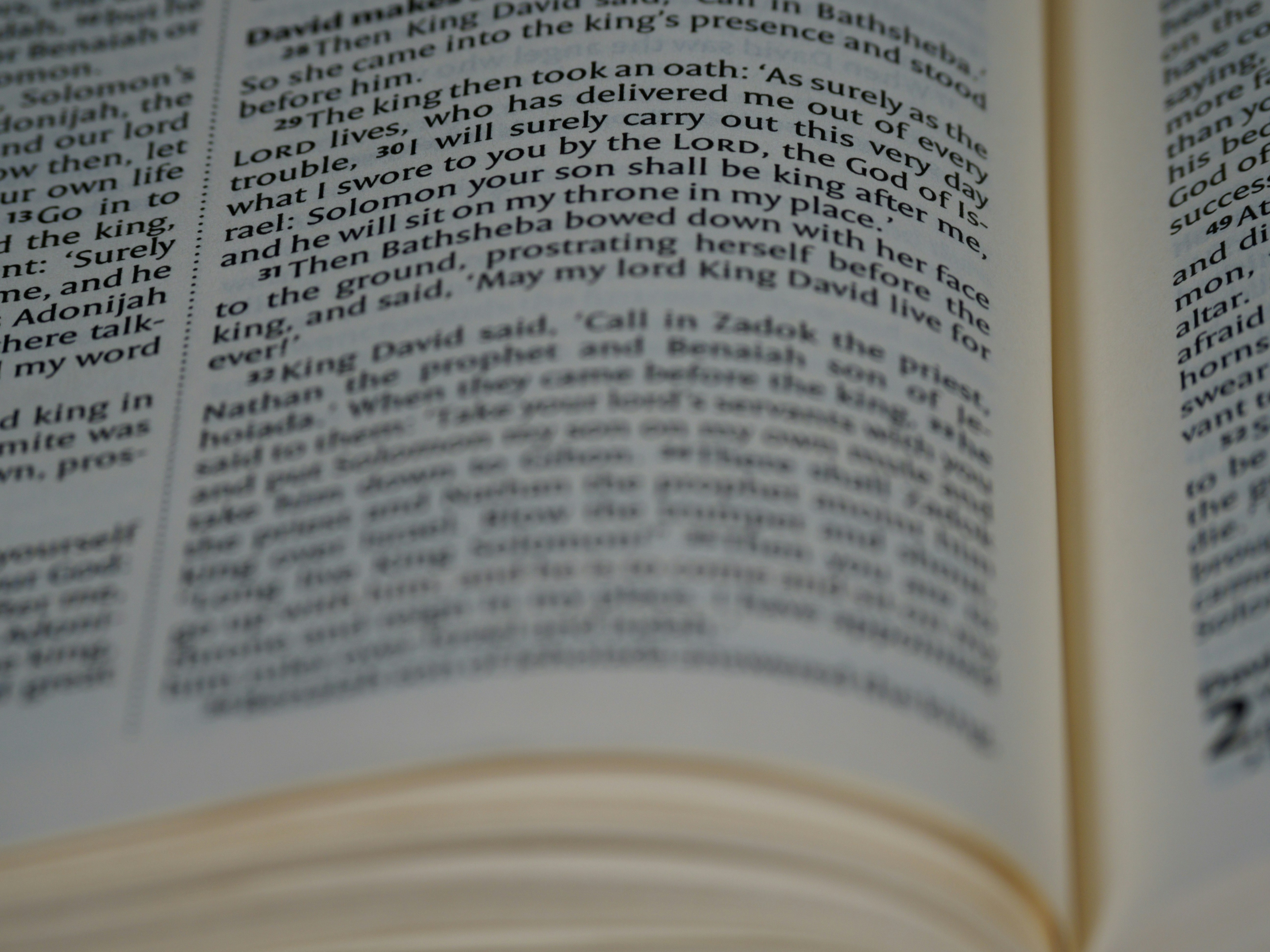 Photo by brett_jordan