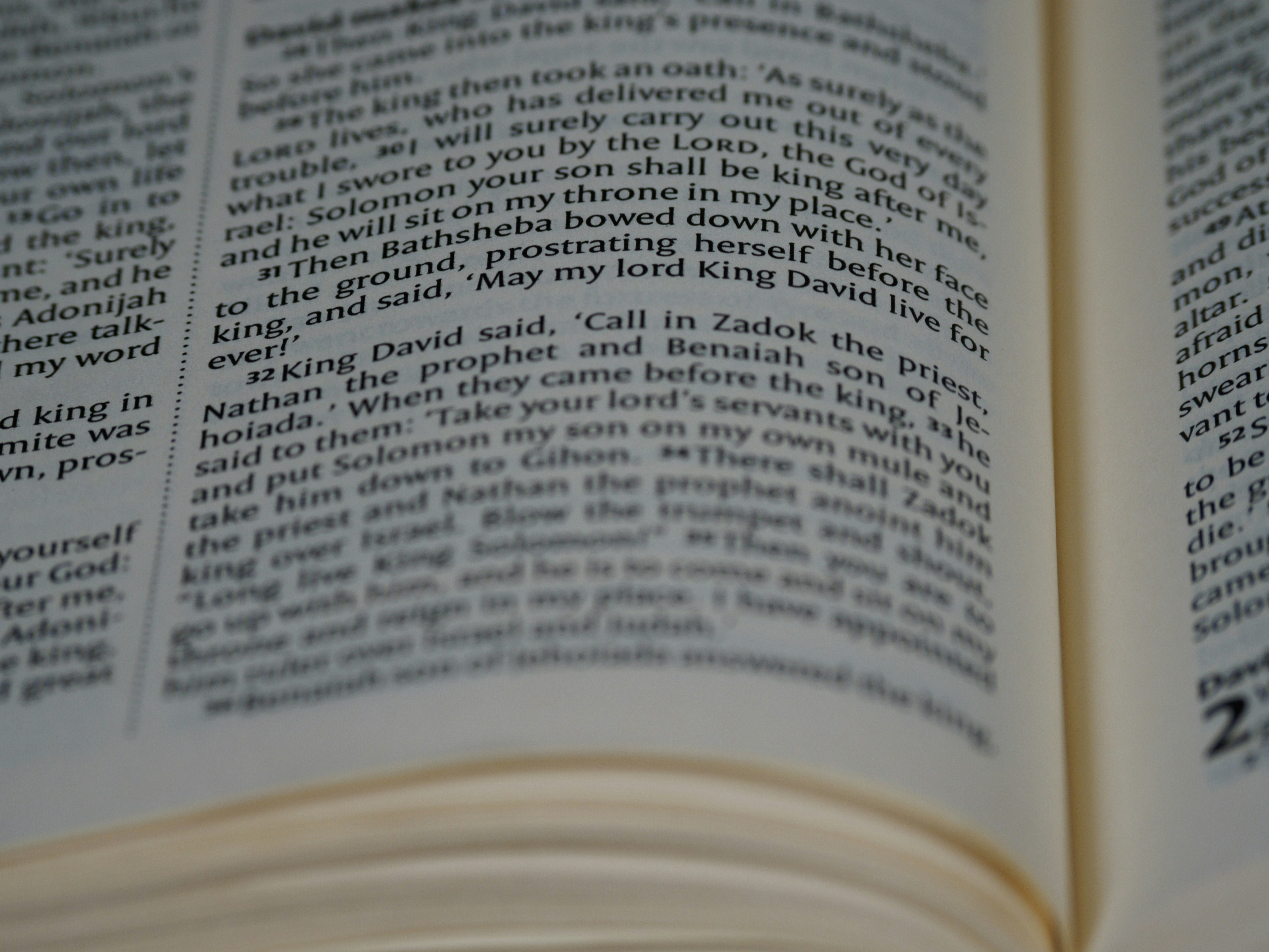 Photo by brett_jordan