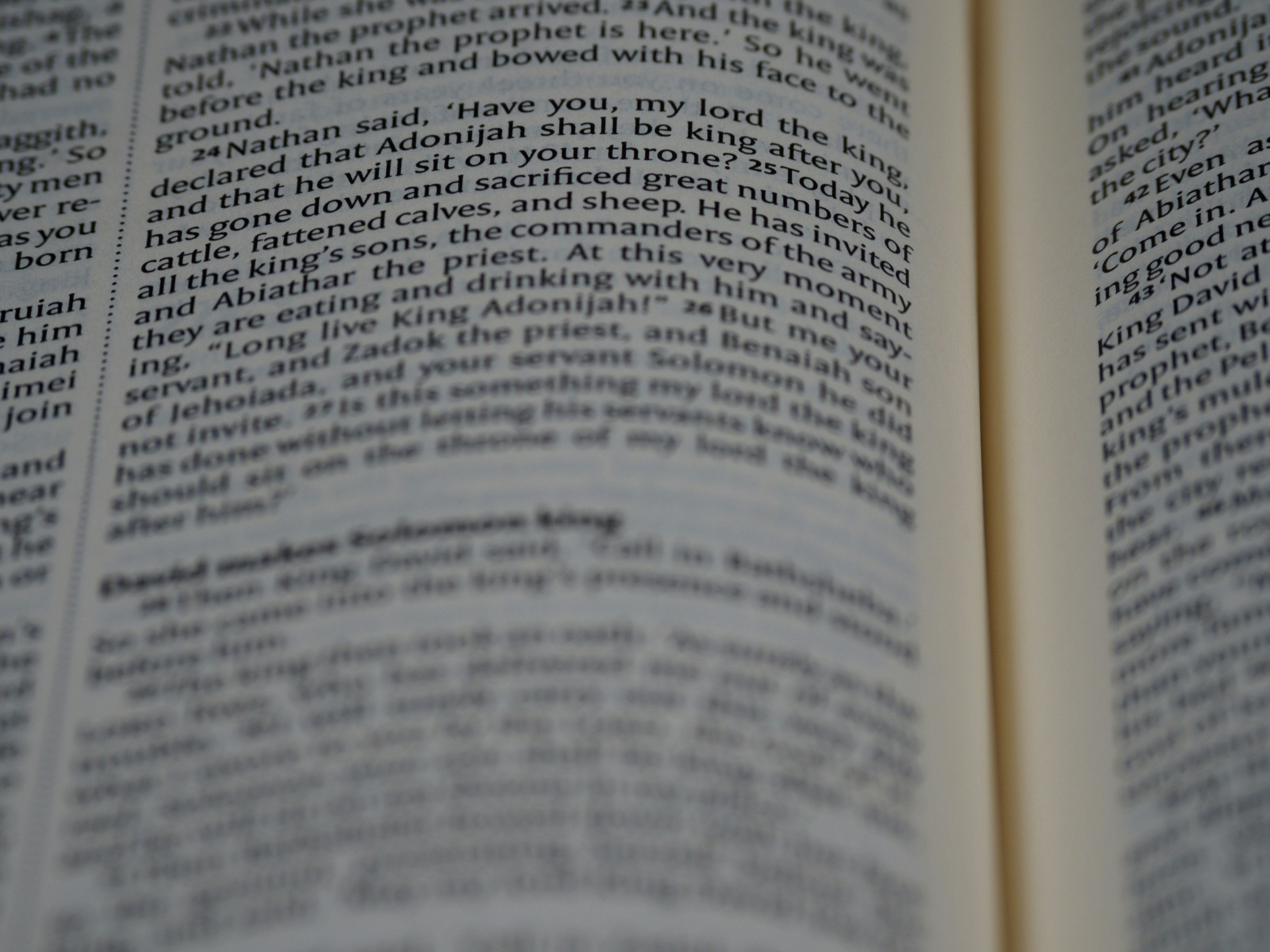 Photo by brett_jordan