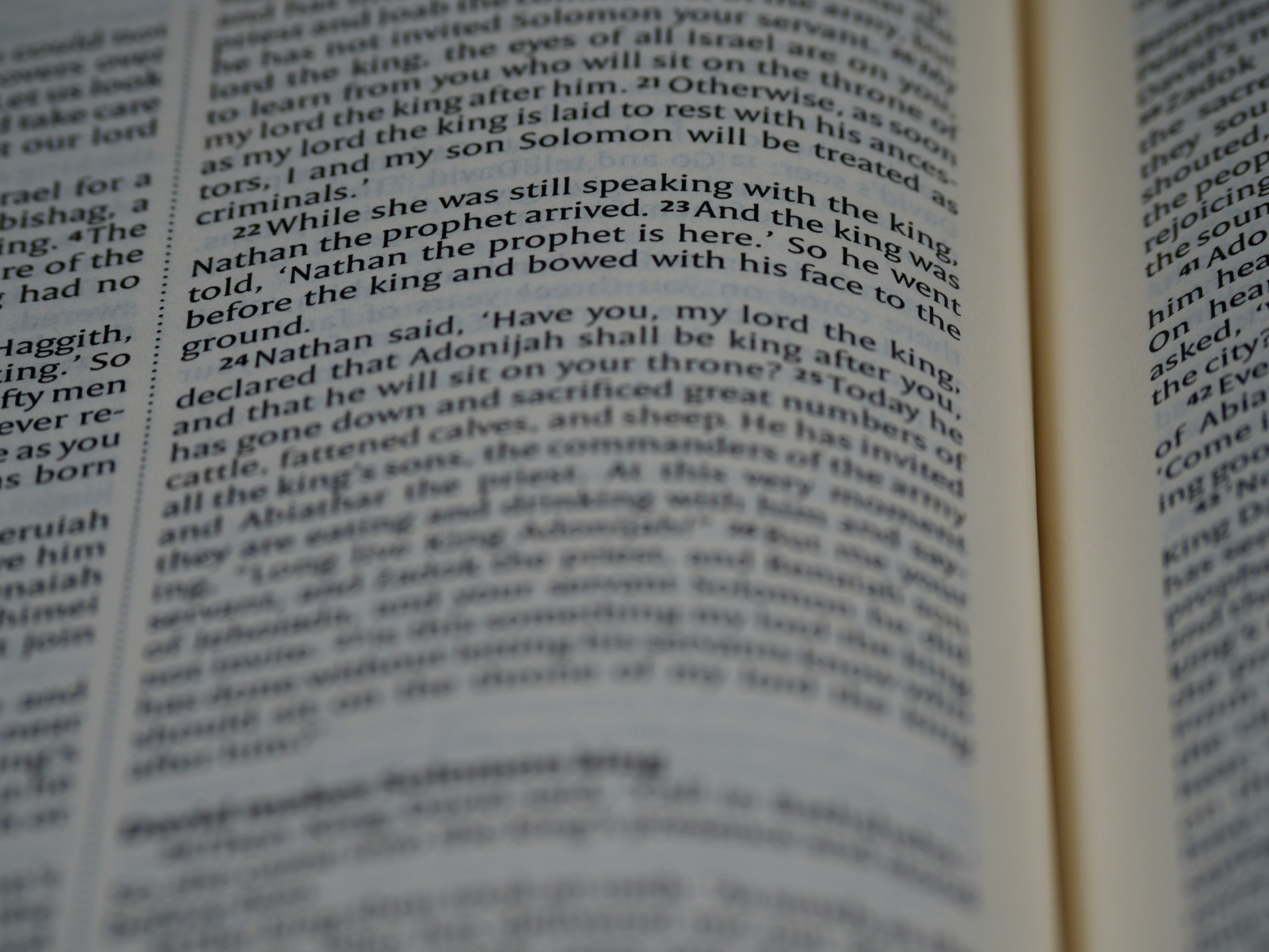 Photo by brett_jordan