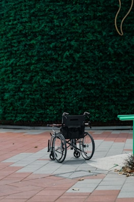 A sleek electric wheelchair parked beside a sunny garden path in South Africa.