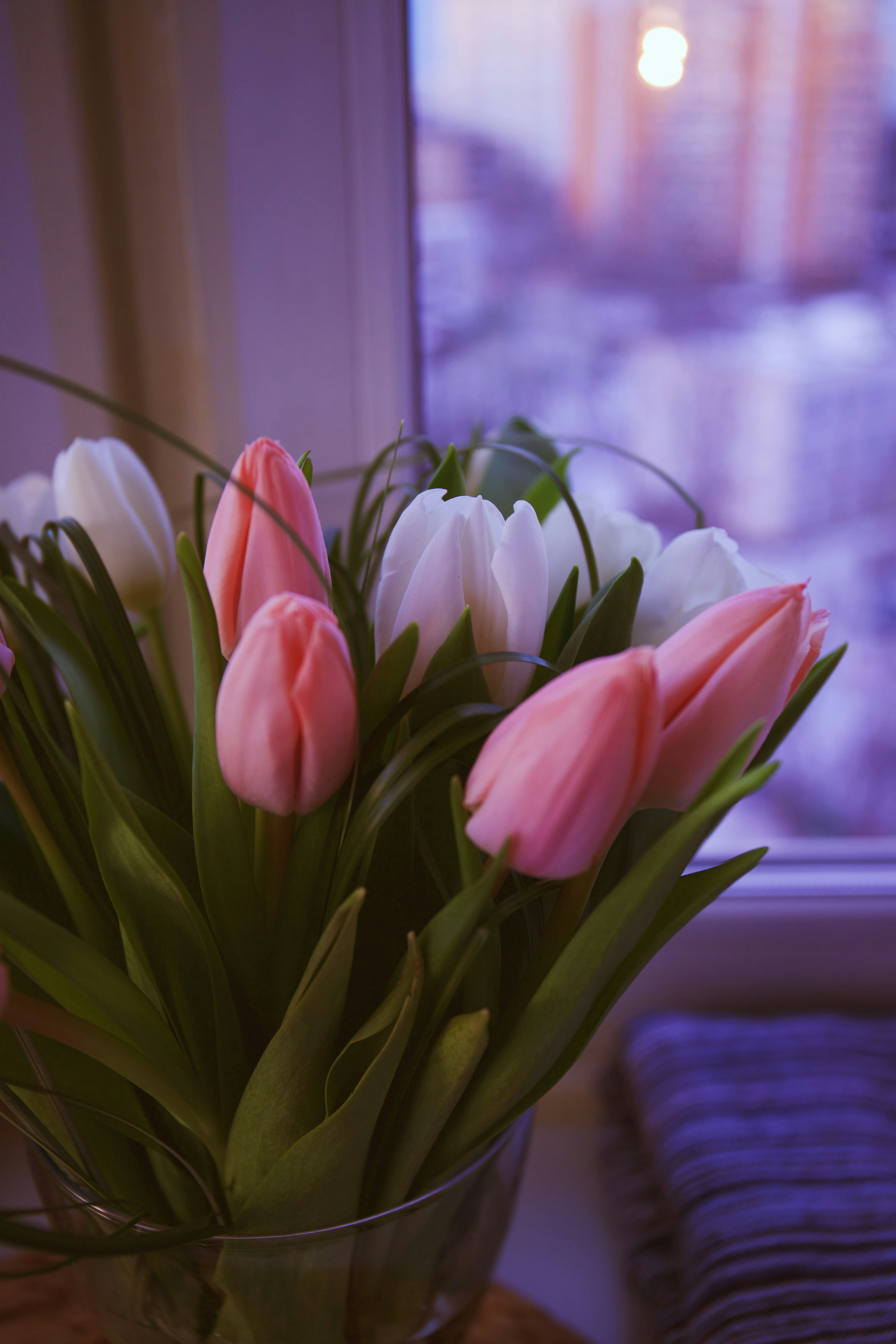 Photo by nutella3012