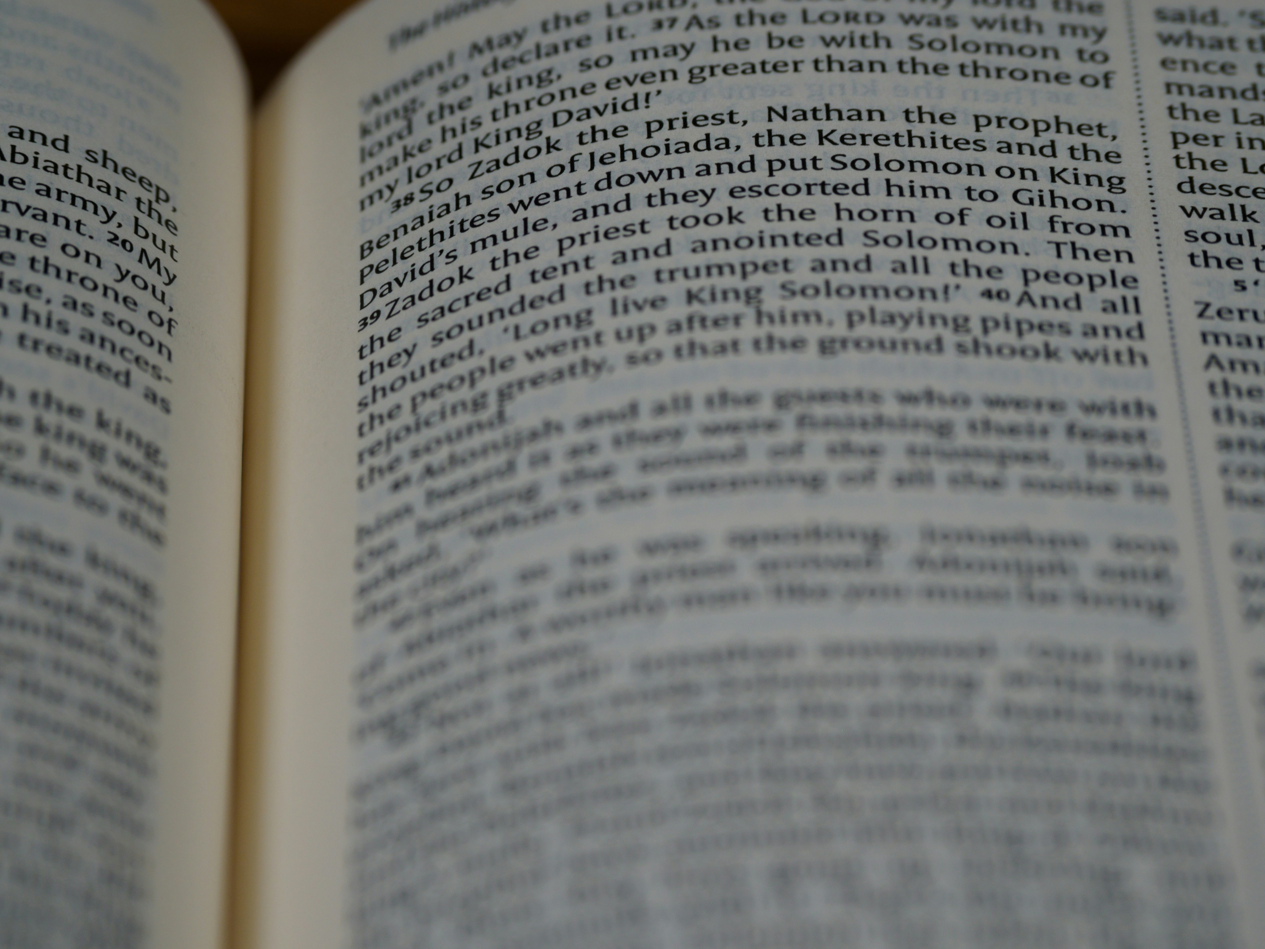 Photo by brett_jordan