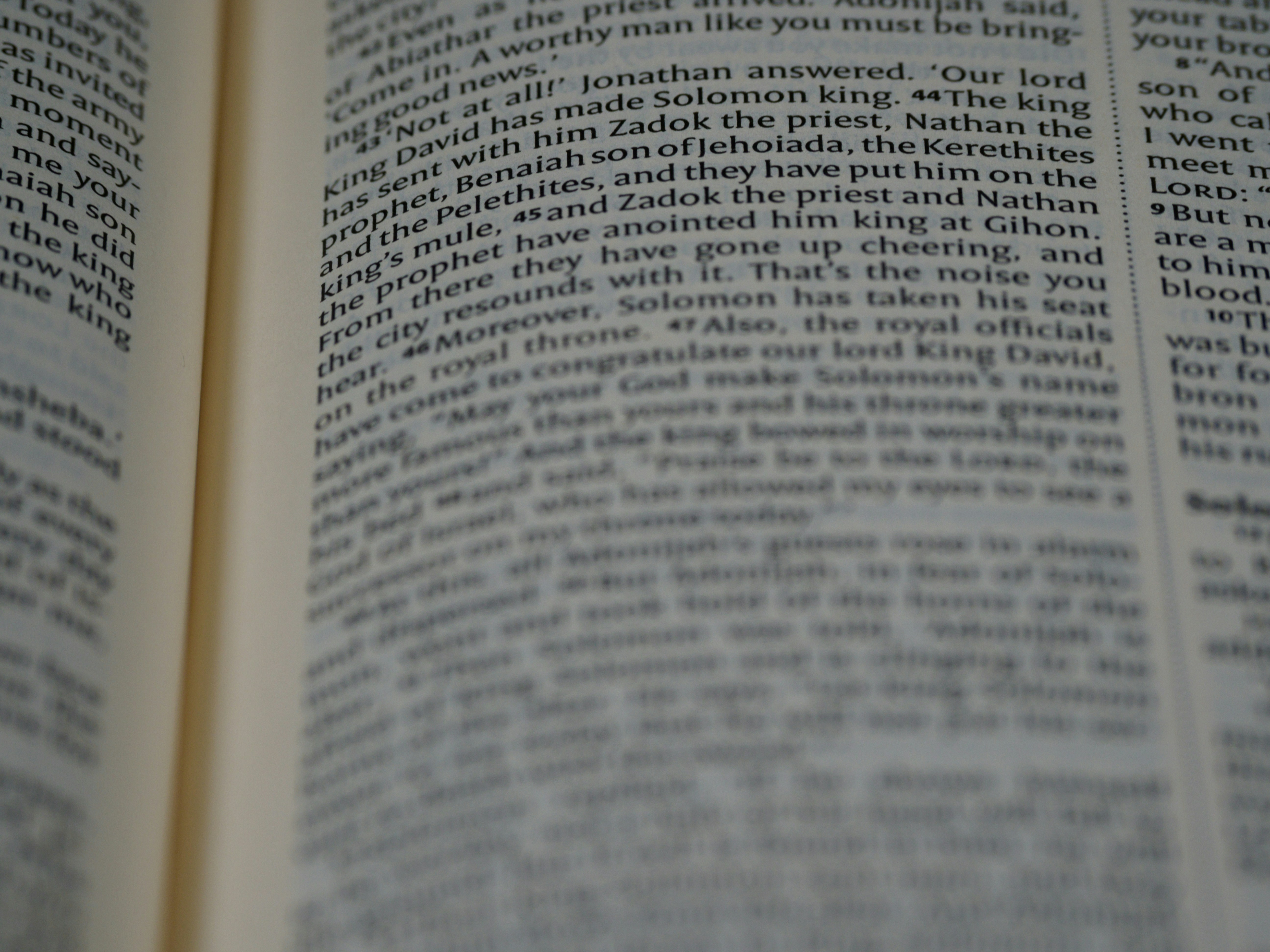 Photo by brett_jordan