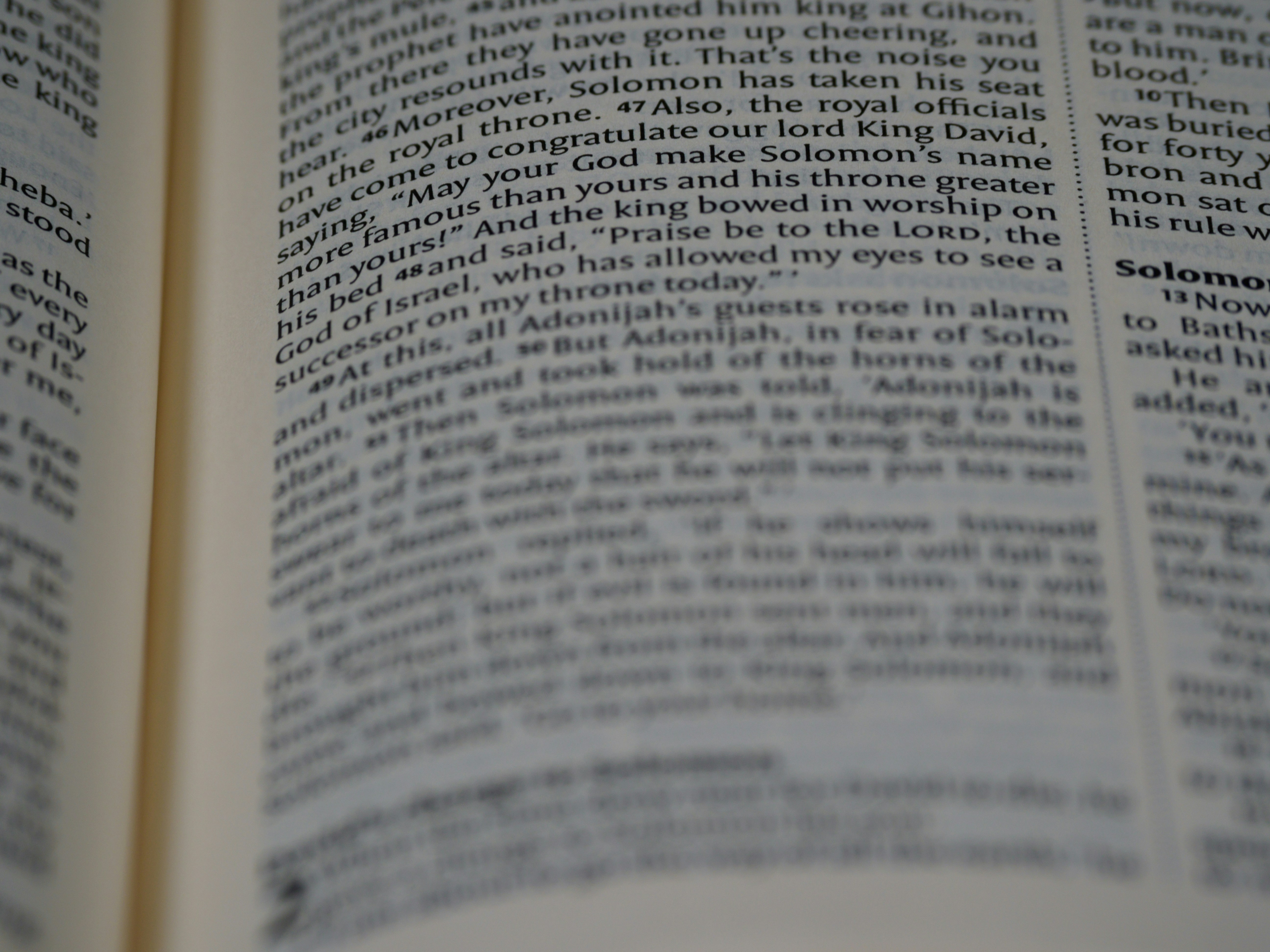 Photo by brett_jordan