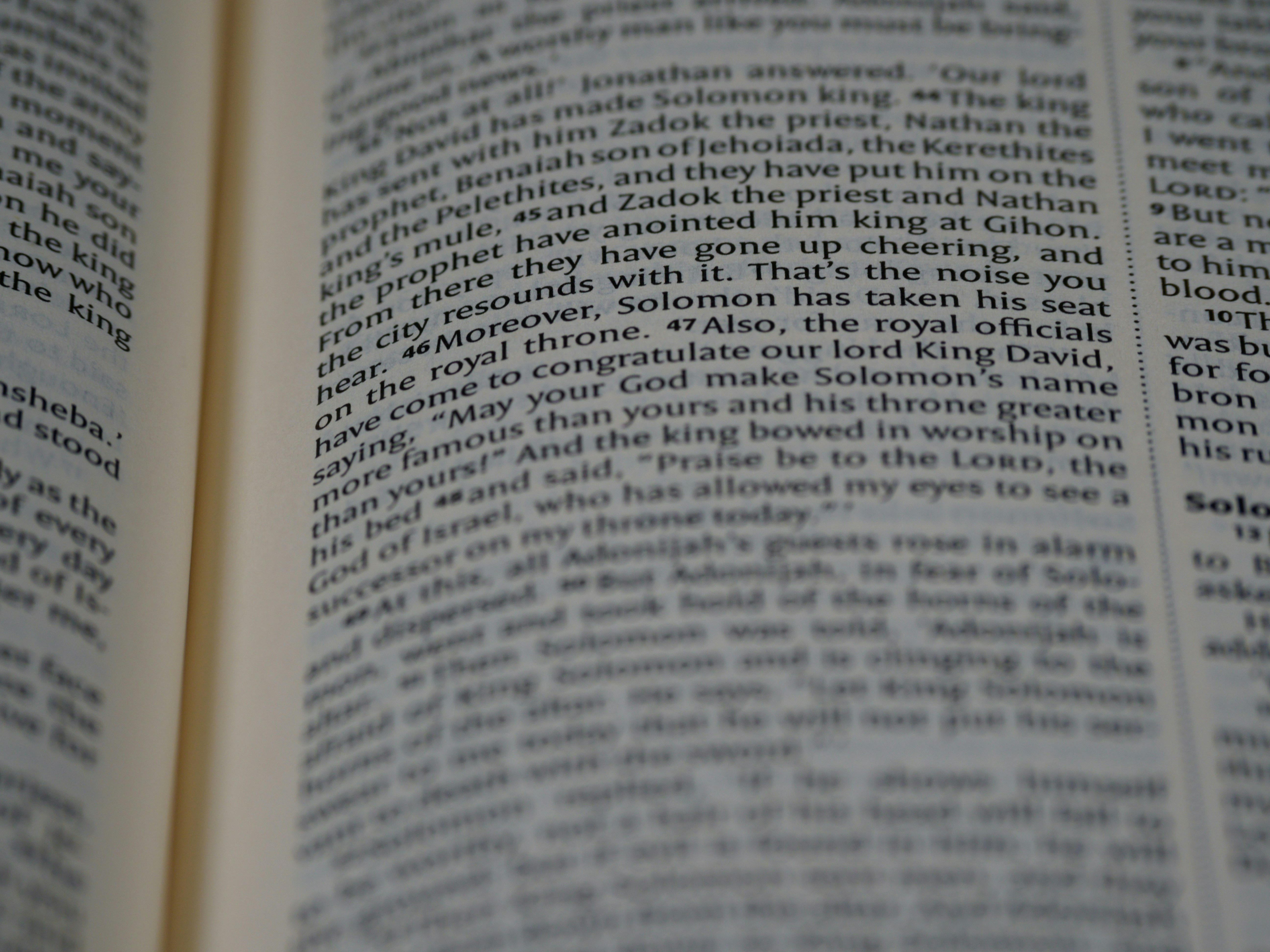 Photo by brett_jordan