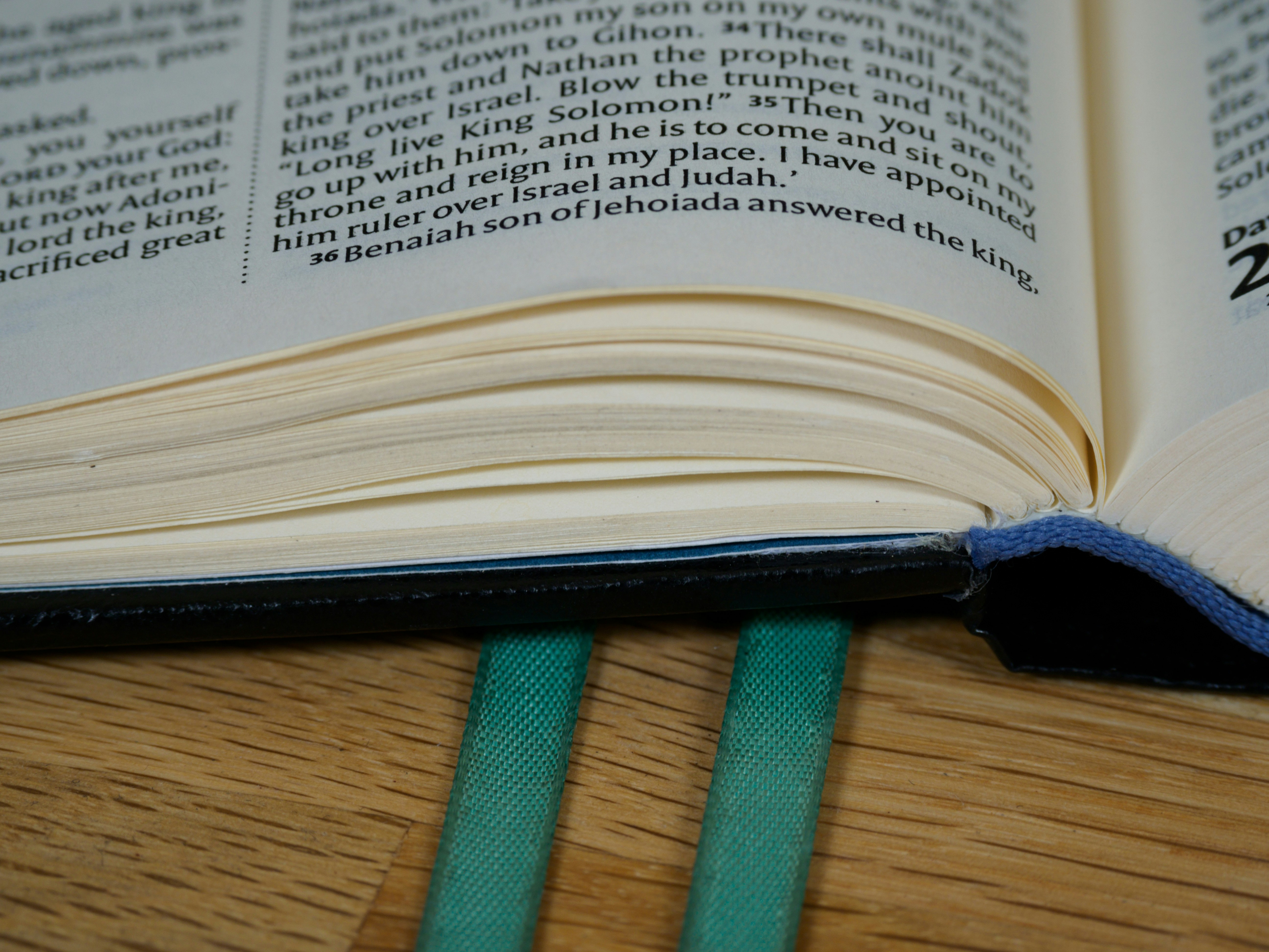 Photo by brett_jordan