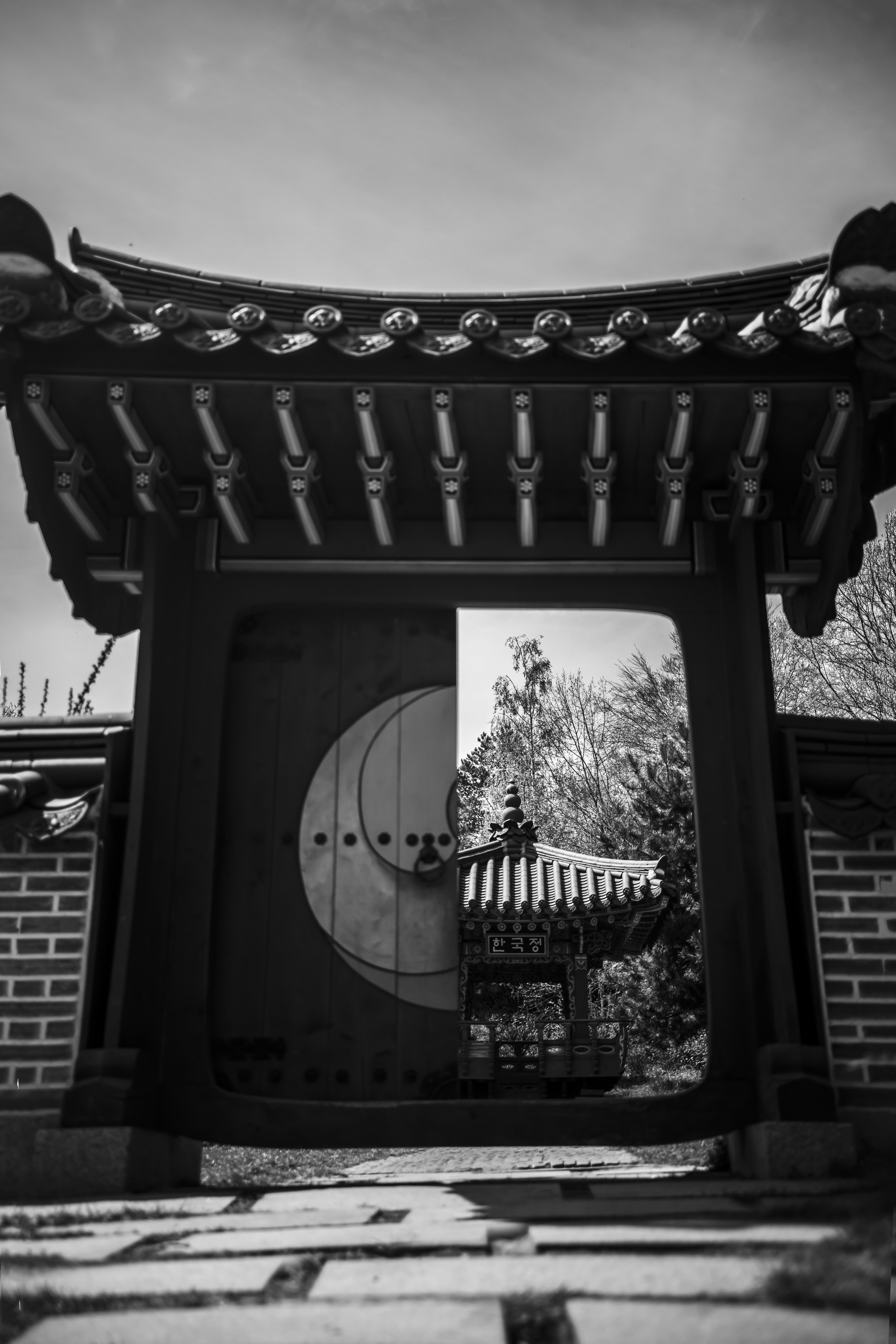 Photo by walkthecreator