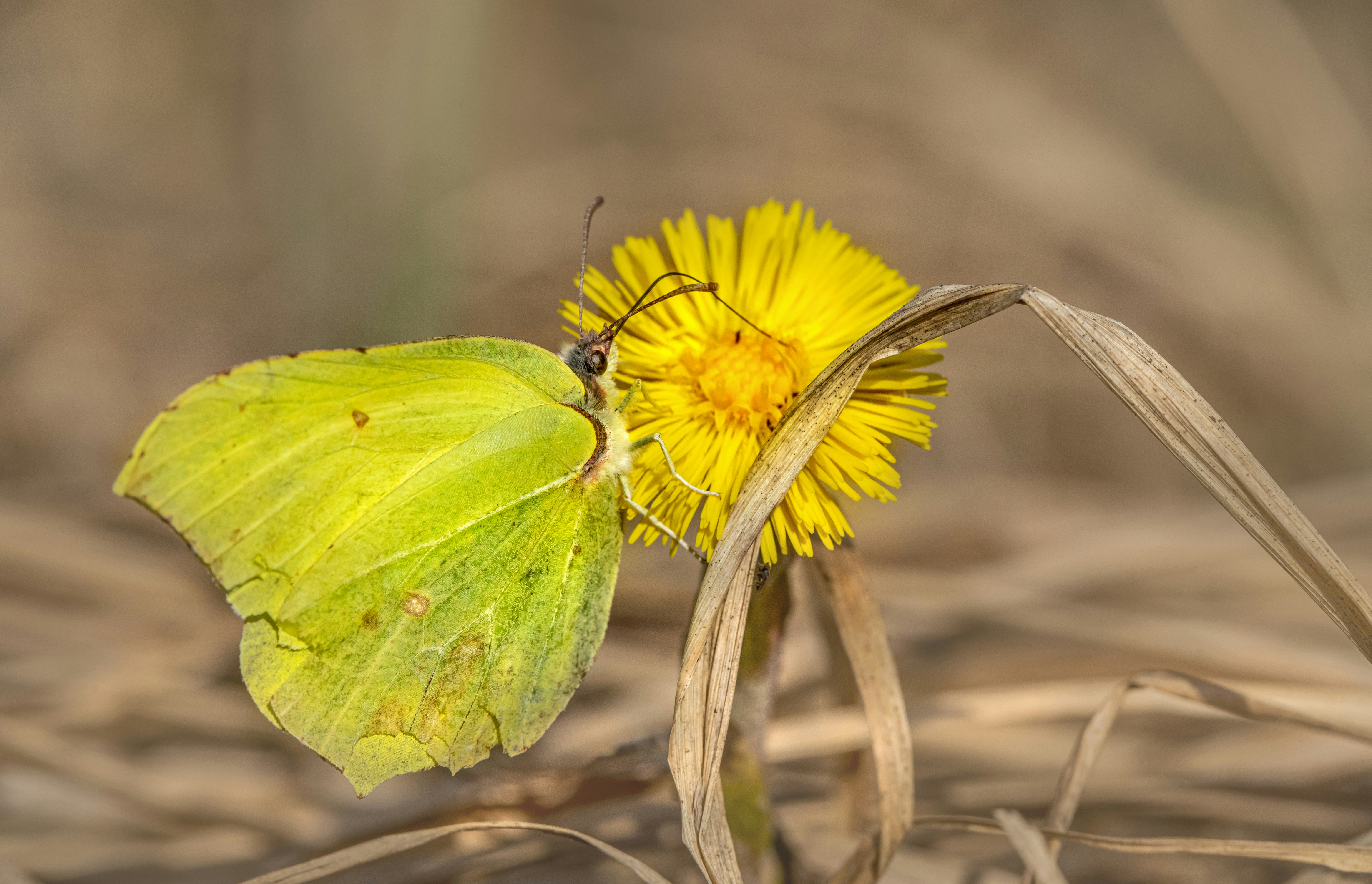 Photo by erik_karits