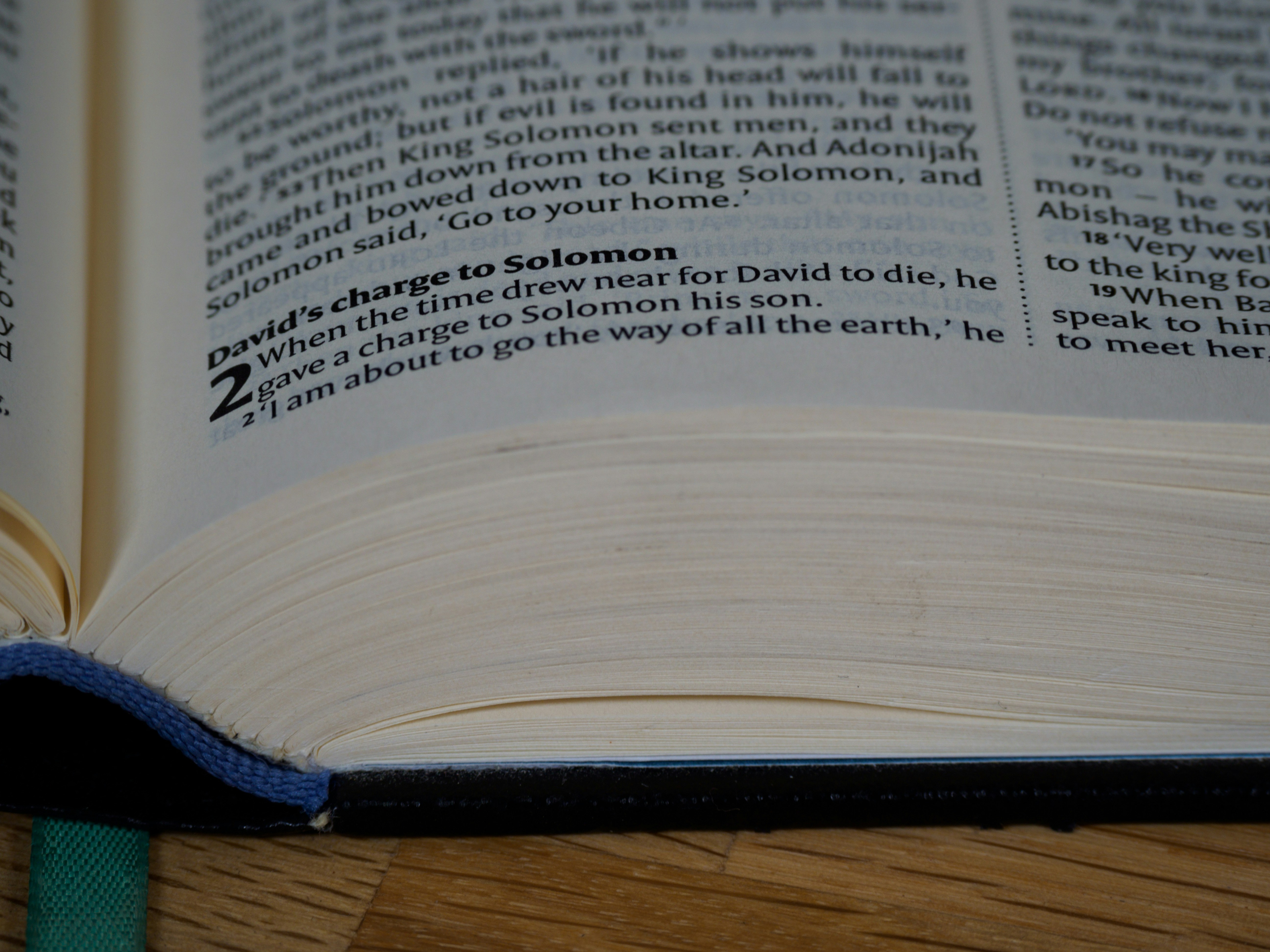 Photo by brett_jordan