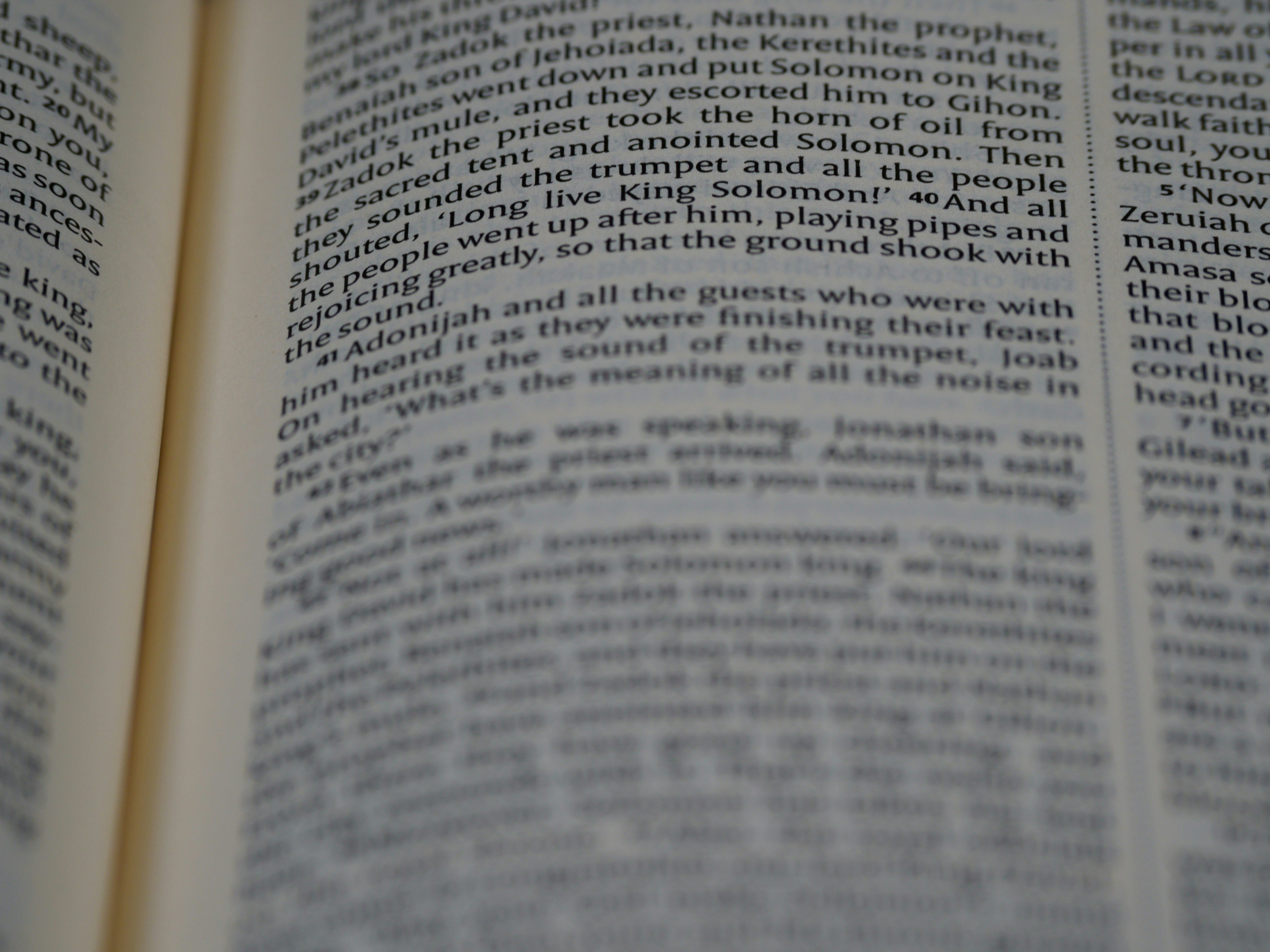 Photo by brett_jordan