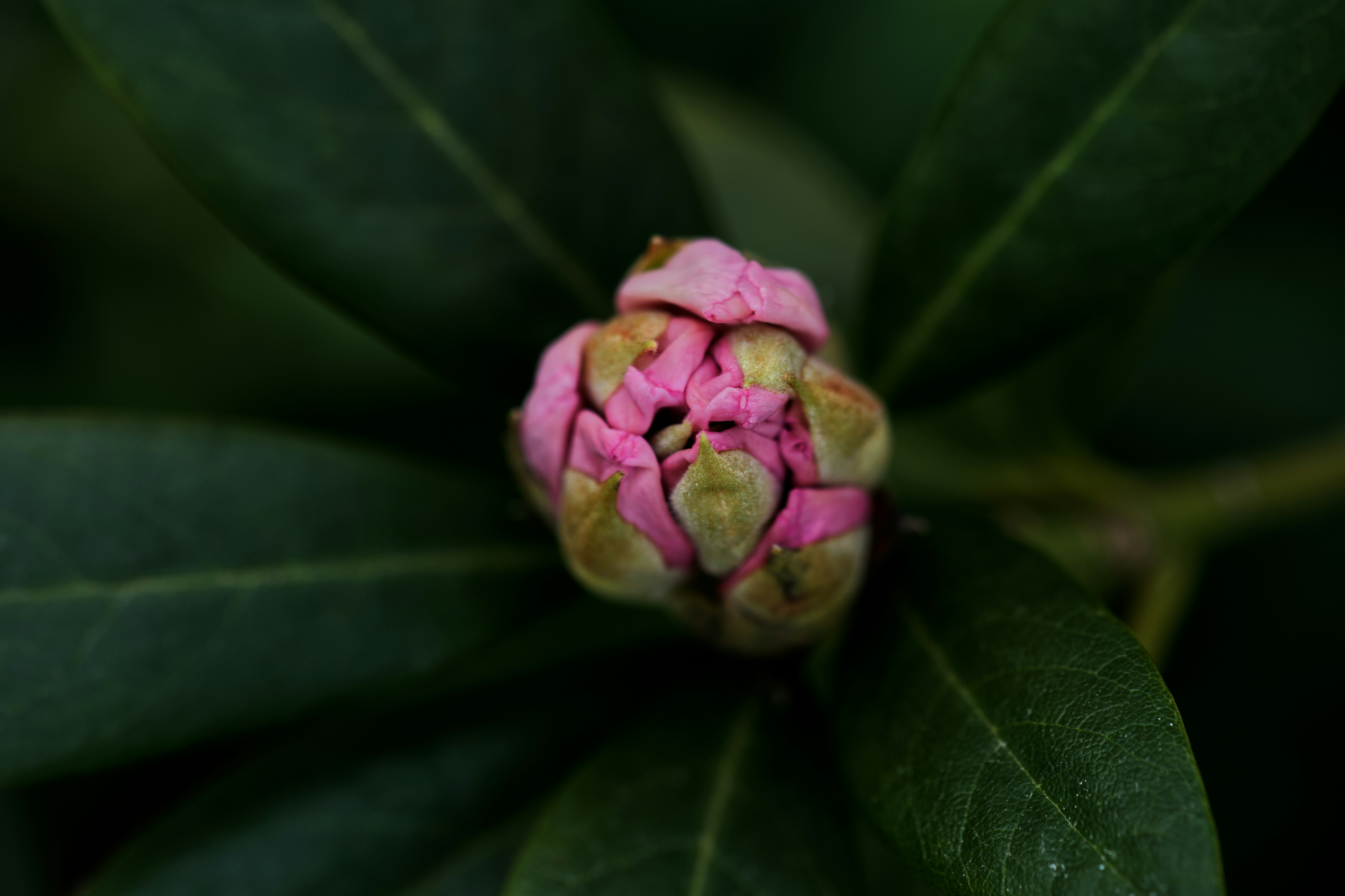 Photo by felicewoelke