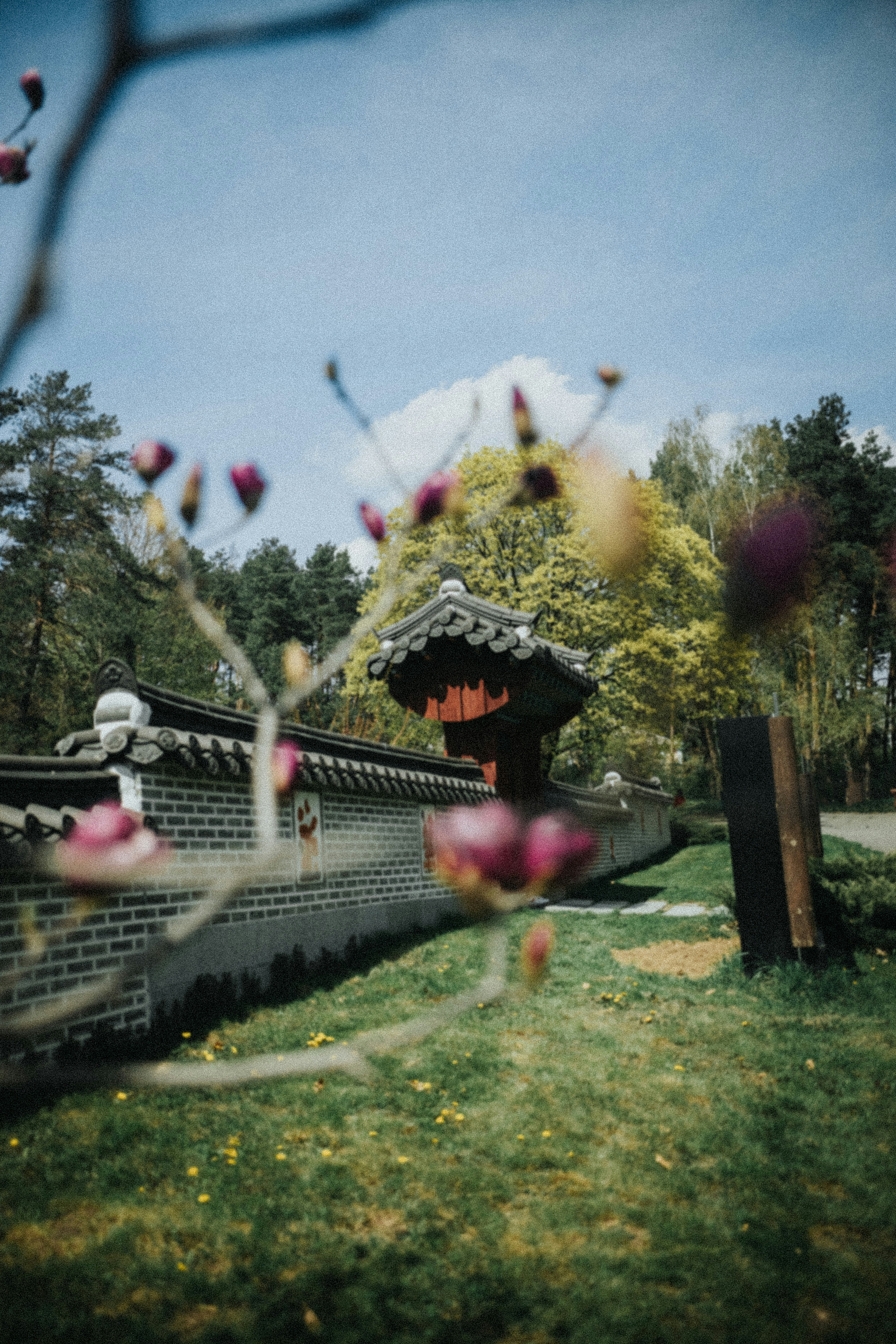 rotes und schwarzes Holzhaus auf grünem Rasenfeld tagsüber