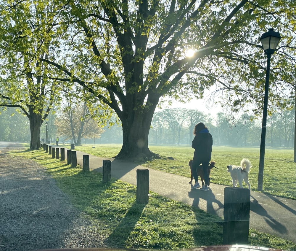 man and woman walking on pathway near tree during daytime