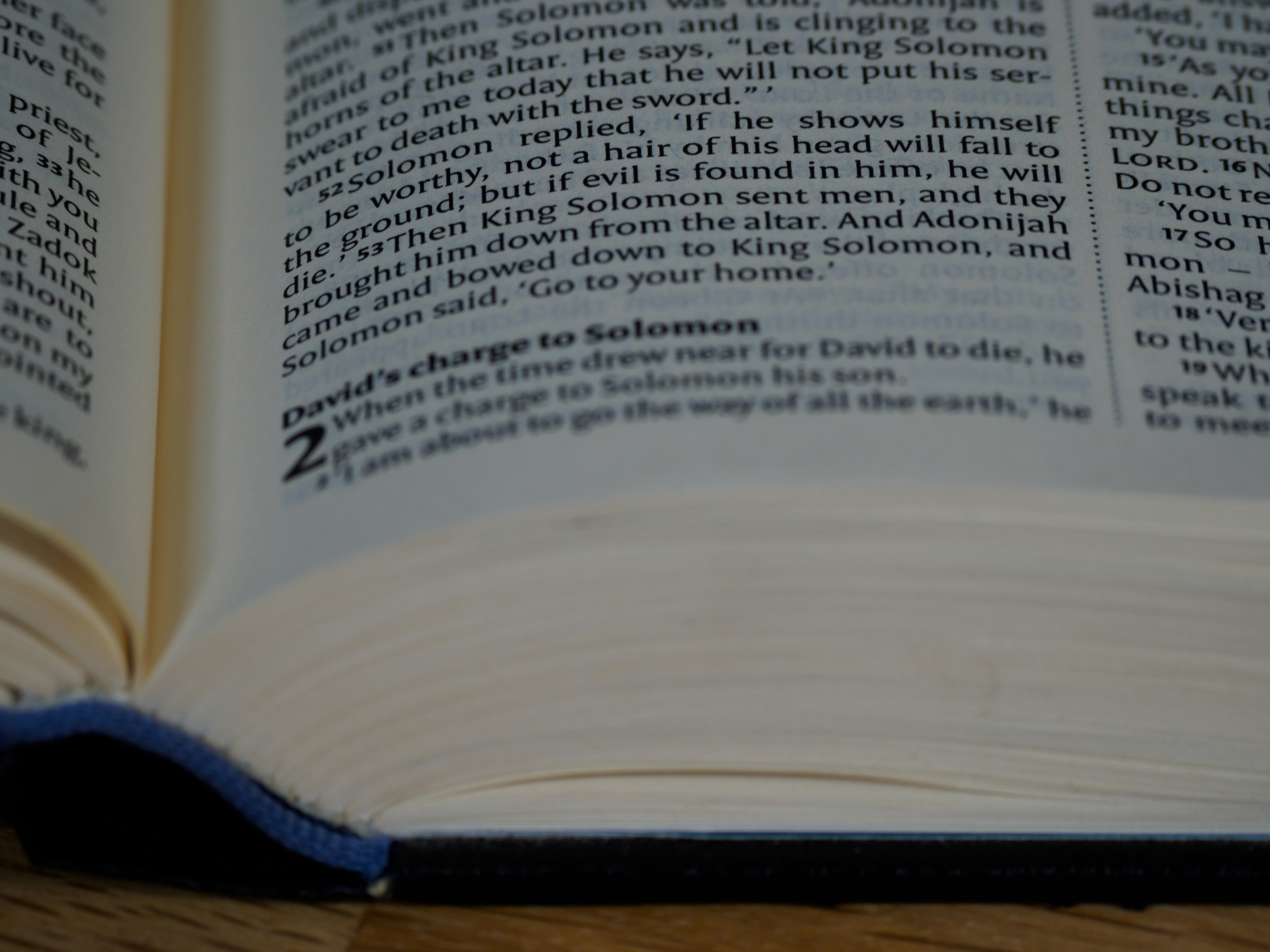 Photo by brett_jordan