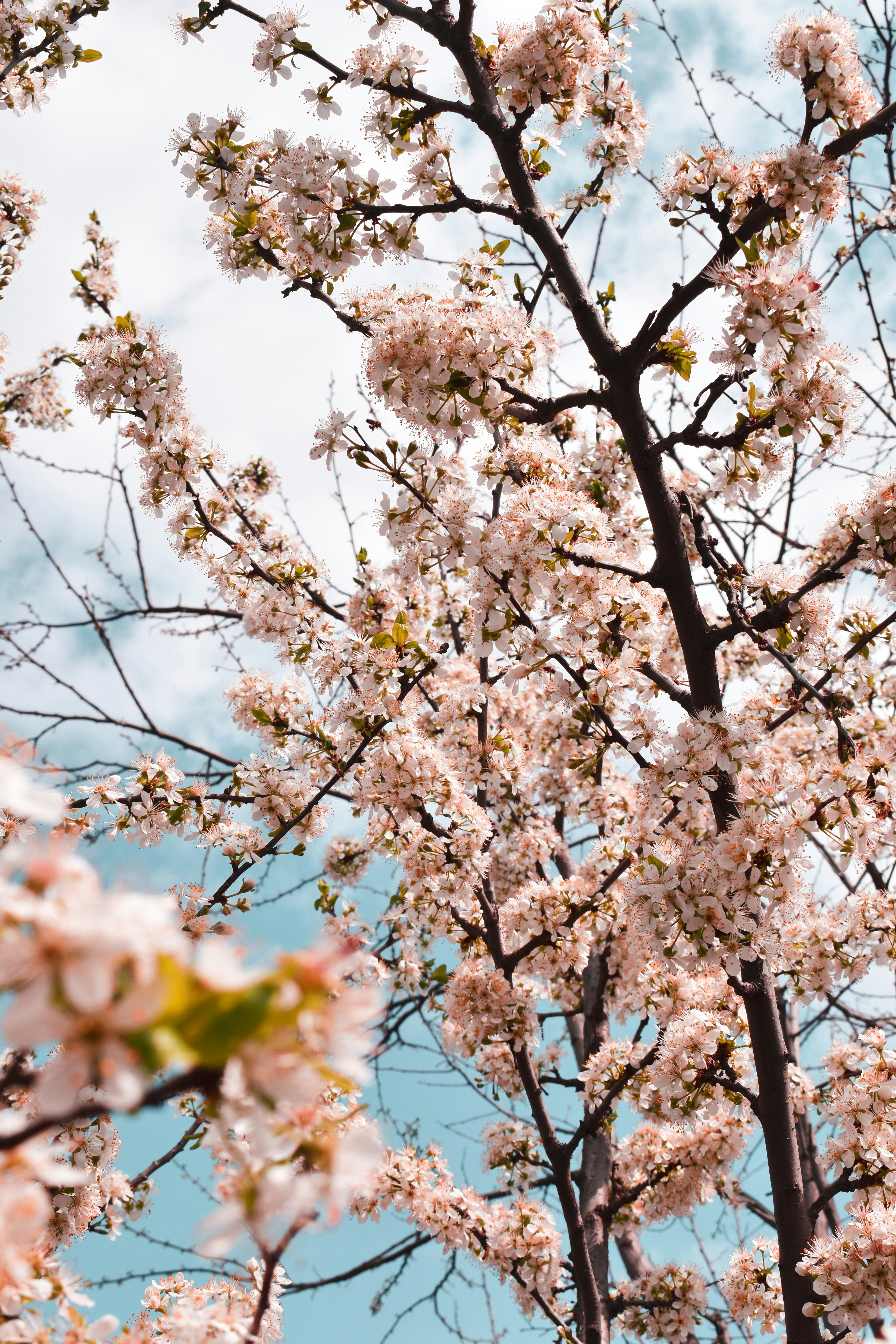 Photo by bianncapatrascu