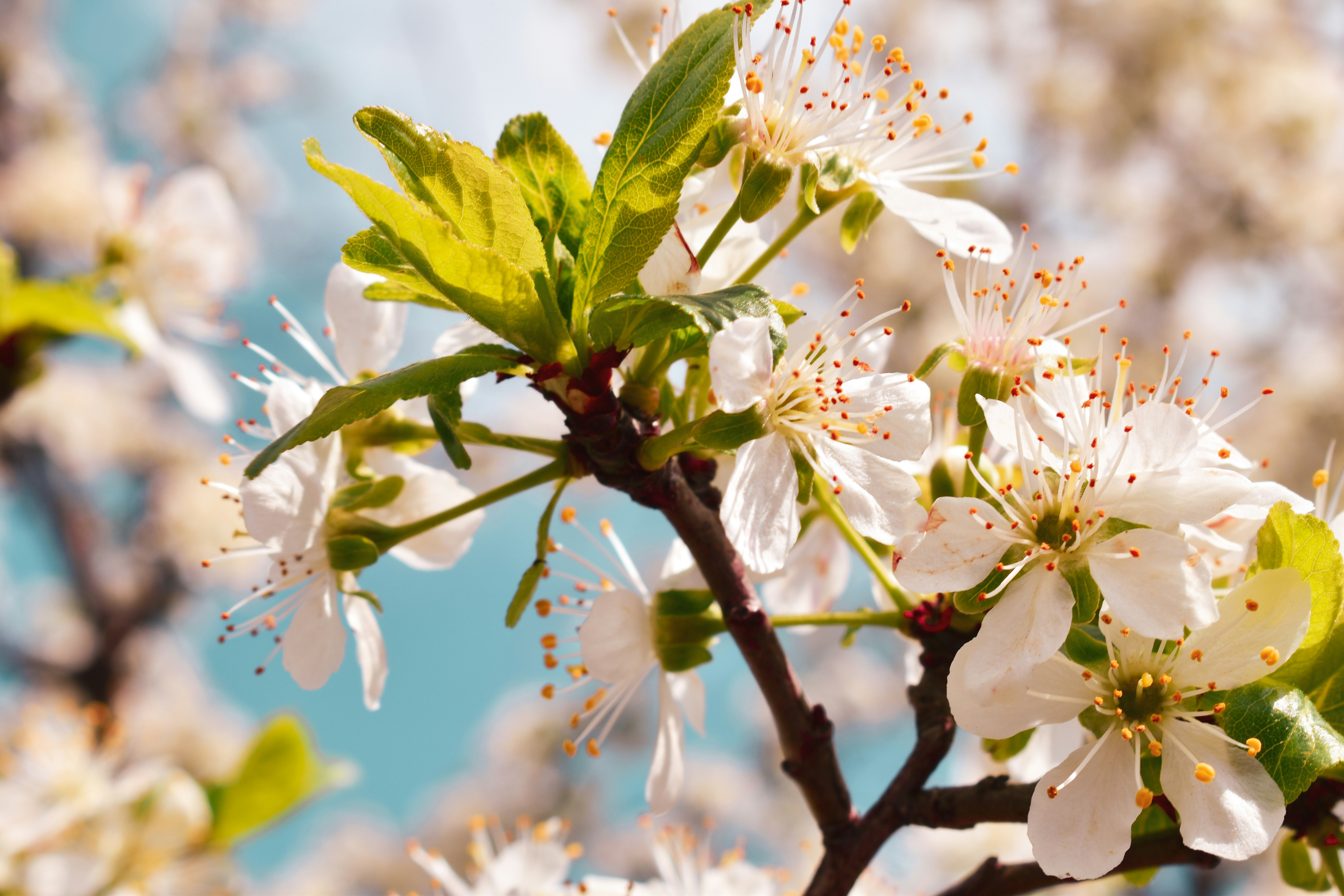 Photo by bianncapatrascu