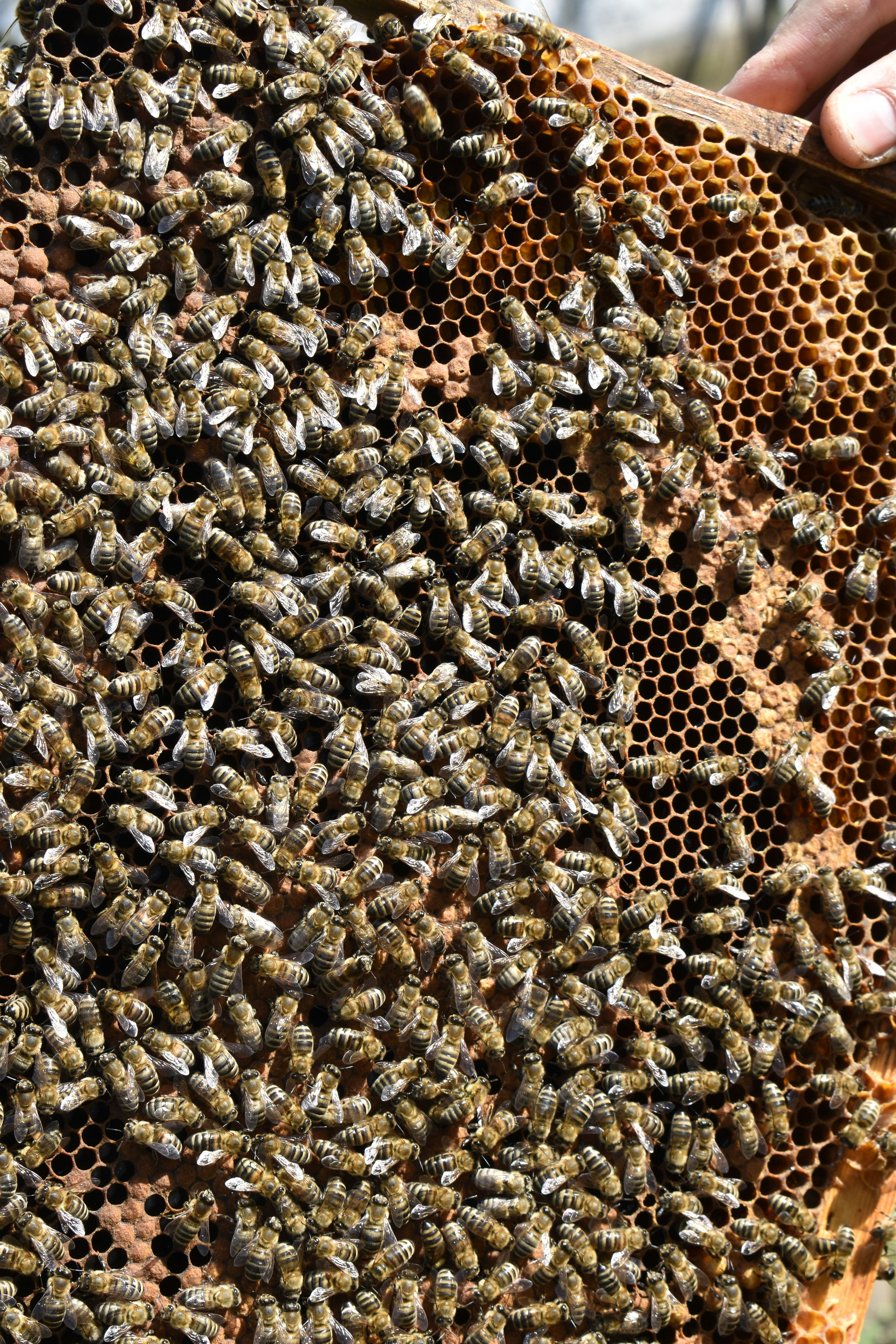 Photo by bianncapatrascu