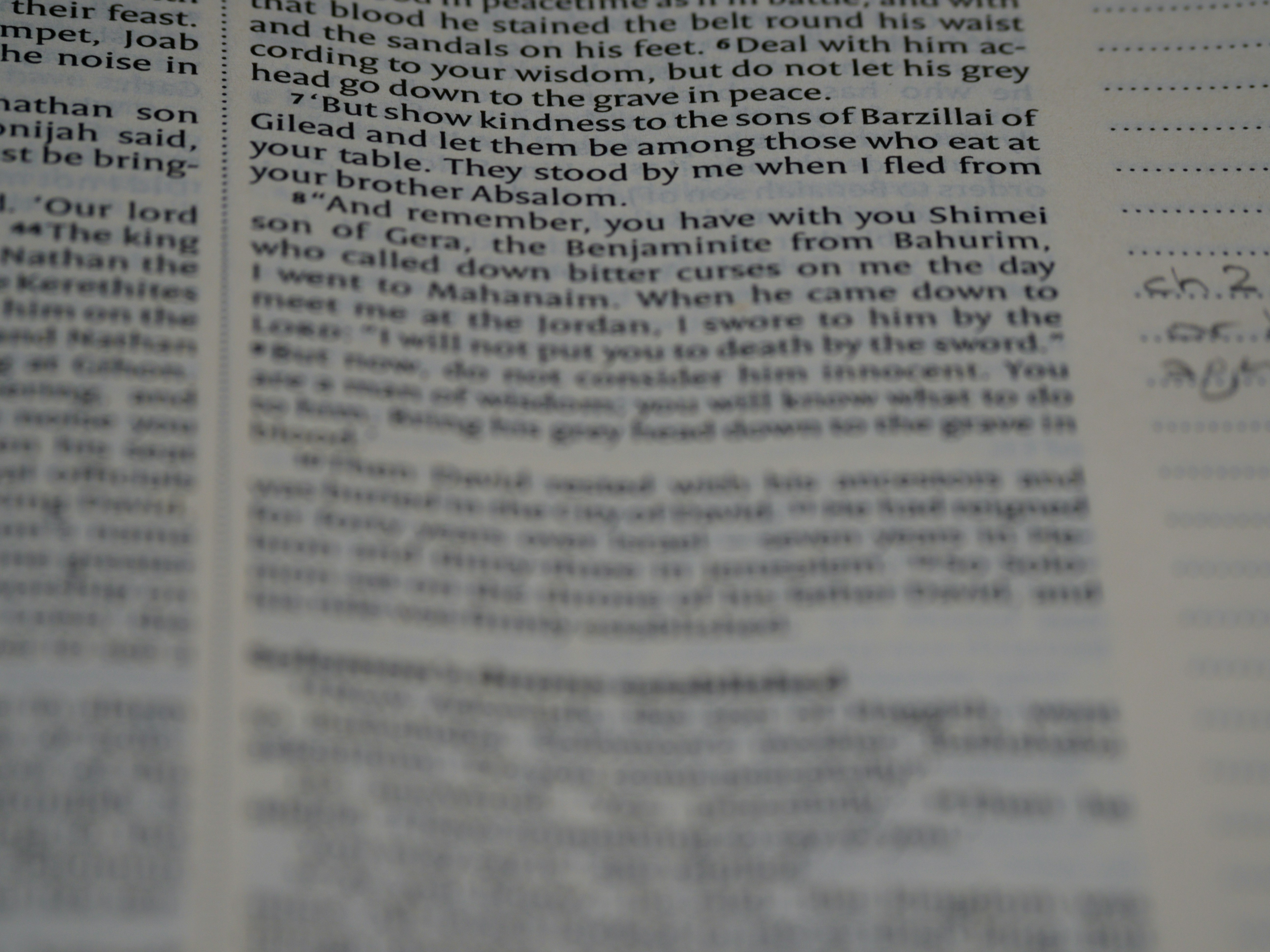 Photo by brett_jordan