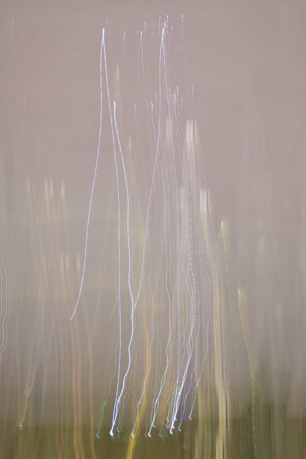 green grass on water during daytime