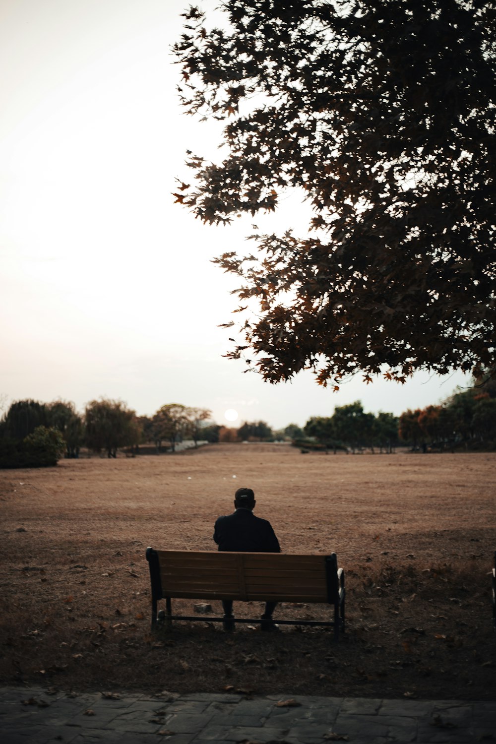 person sitting on brown wooden bench during daytime
