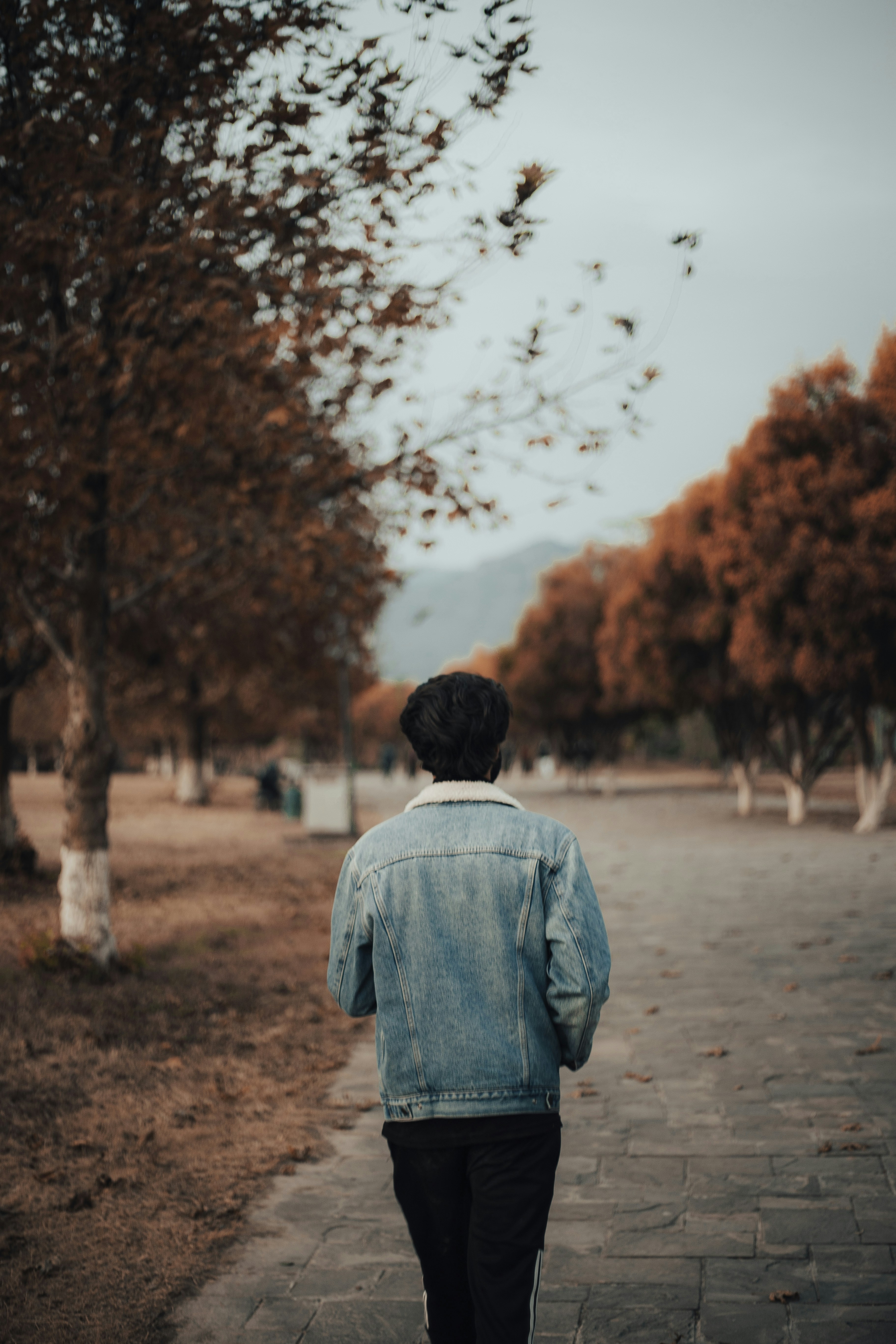 Photo by aliclicks306