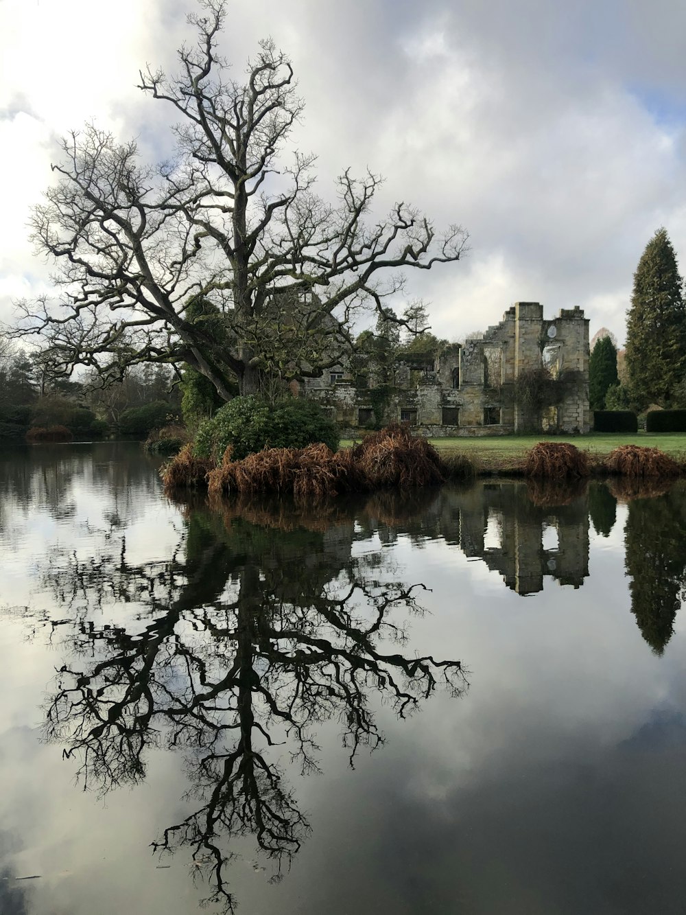 body of water near trees and building during daytime