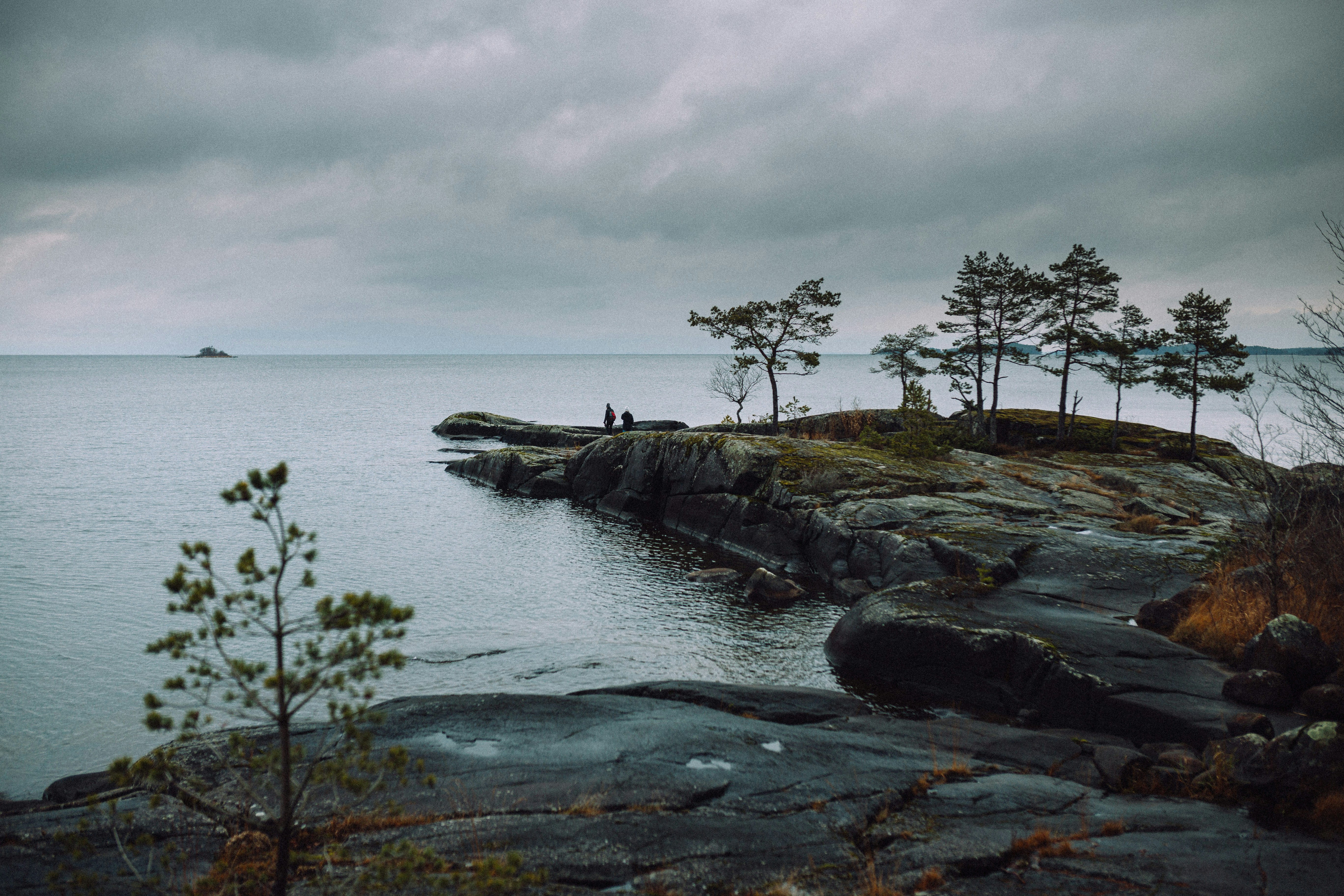 green trees on rocky shore by the sea under white cloudy sky during daytime