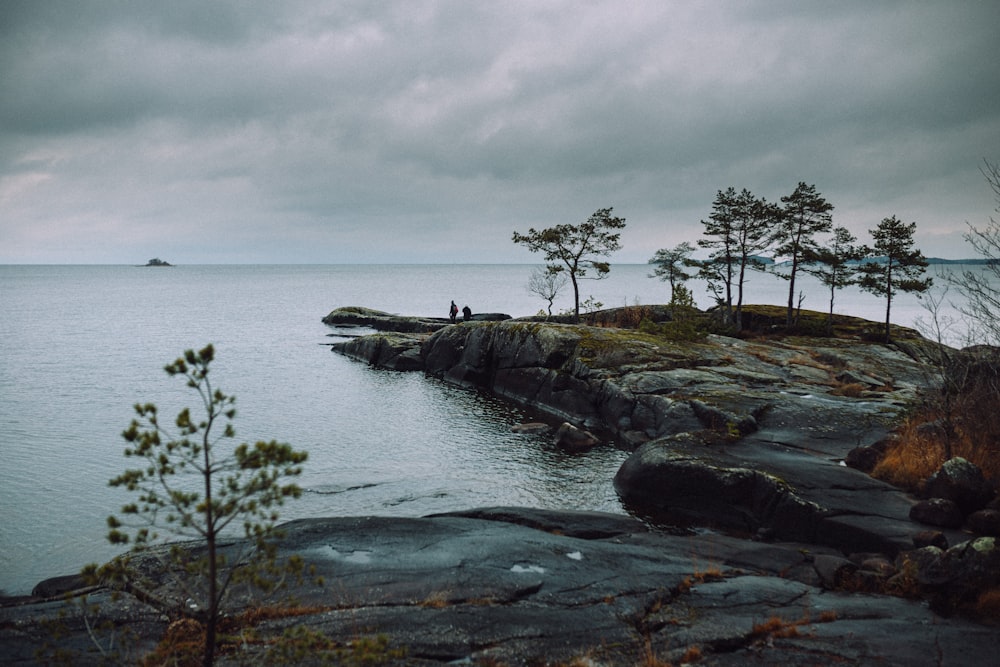 green trees on rocky shore by the sea under white cloudy sky during daytime