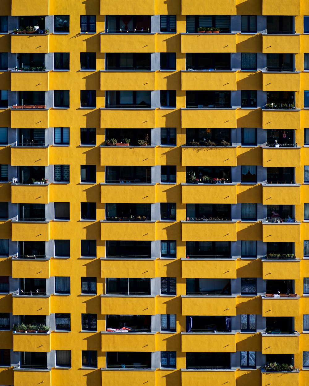 黄色と黒のコンクリートの建物